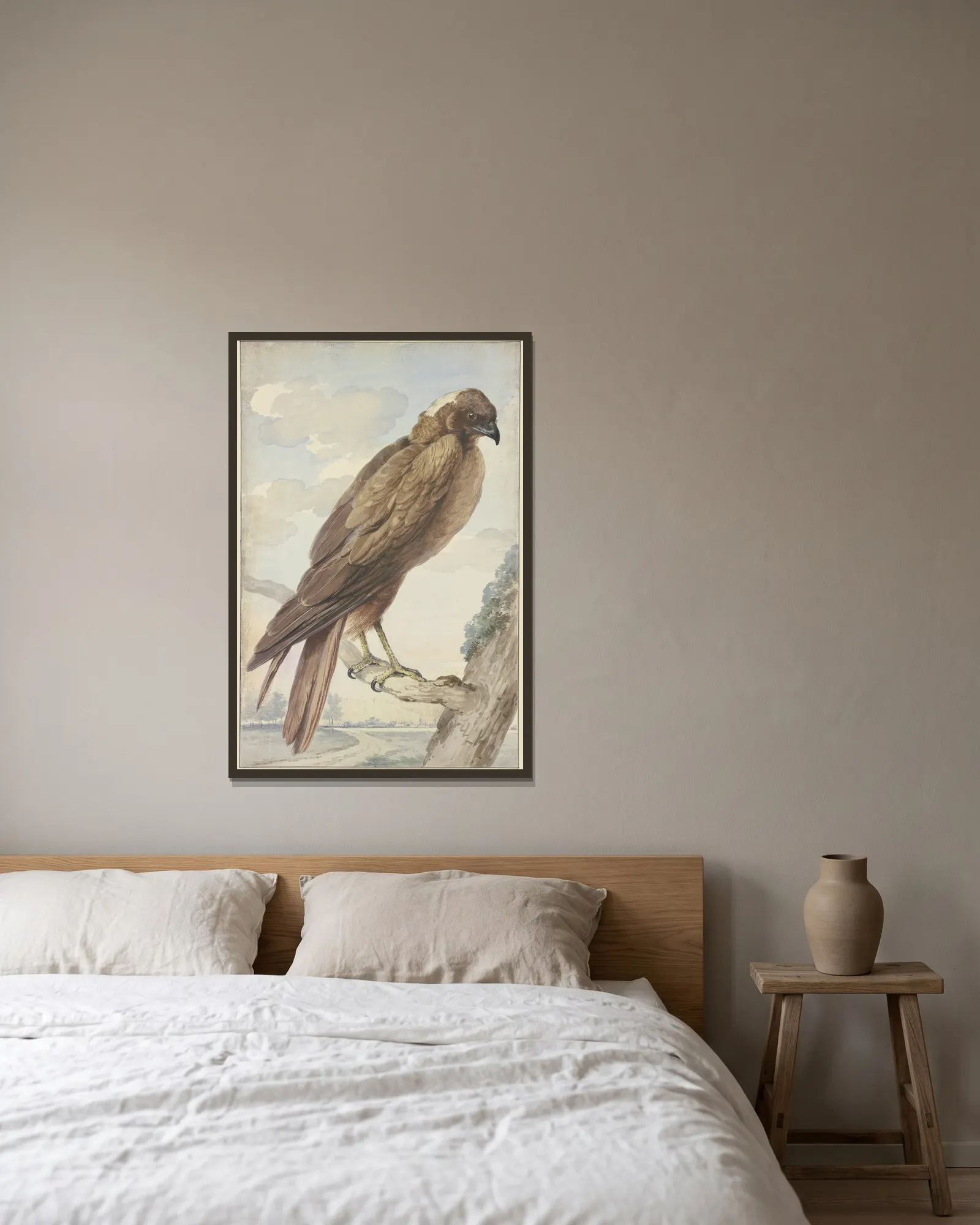 A kite av Aert Schouman inramad på en vägg