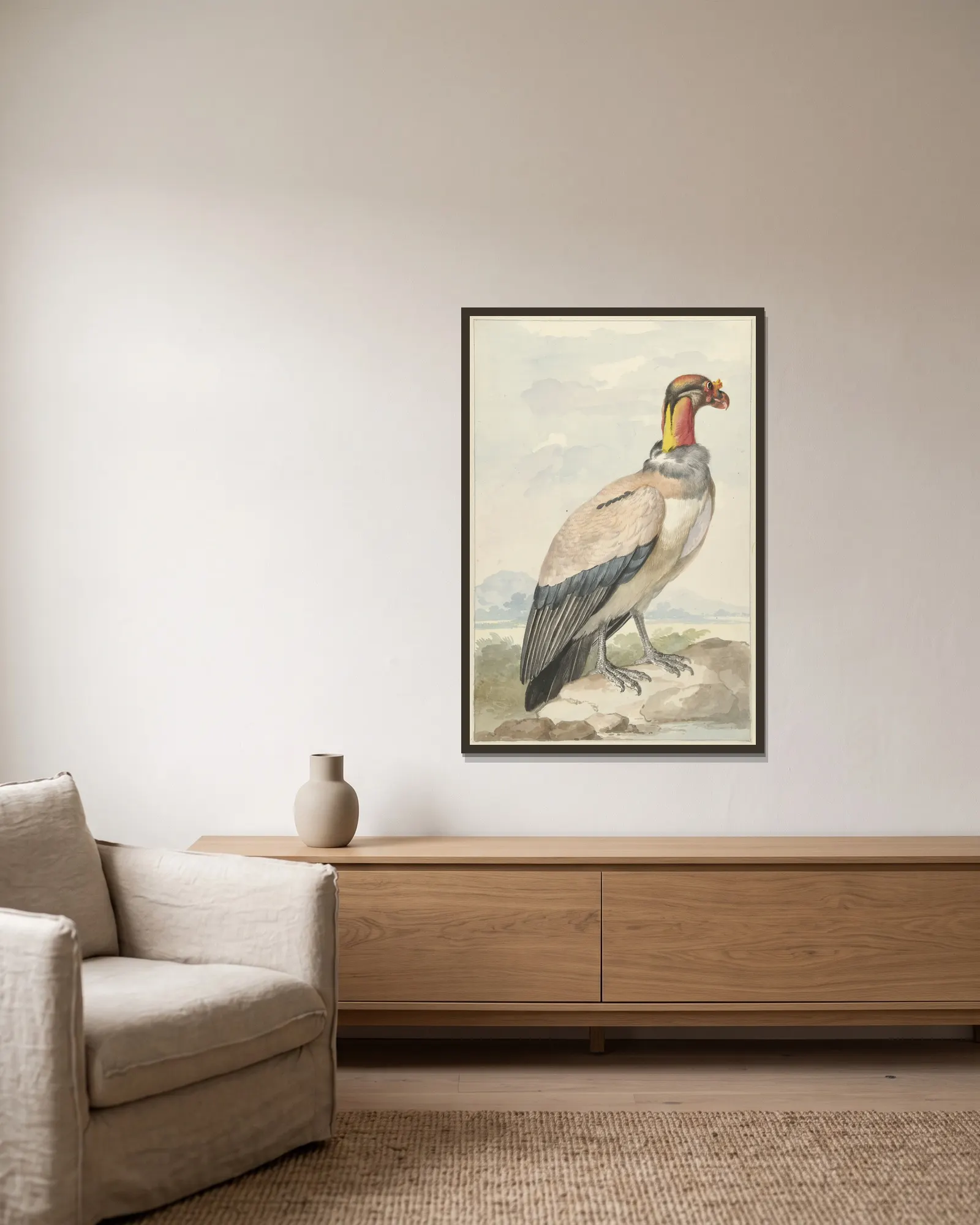 Koningsgier (Sarcoramphus papa) av Aert Schouman inramad på en vägg