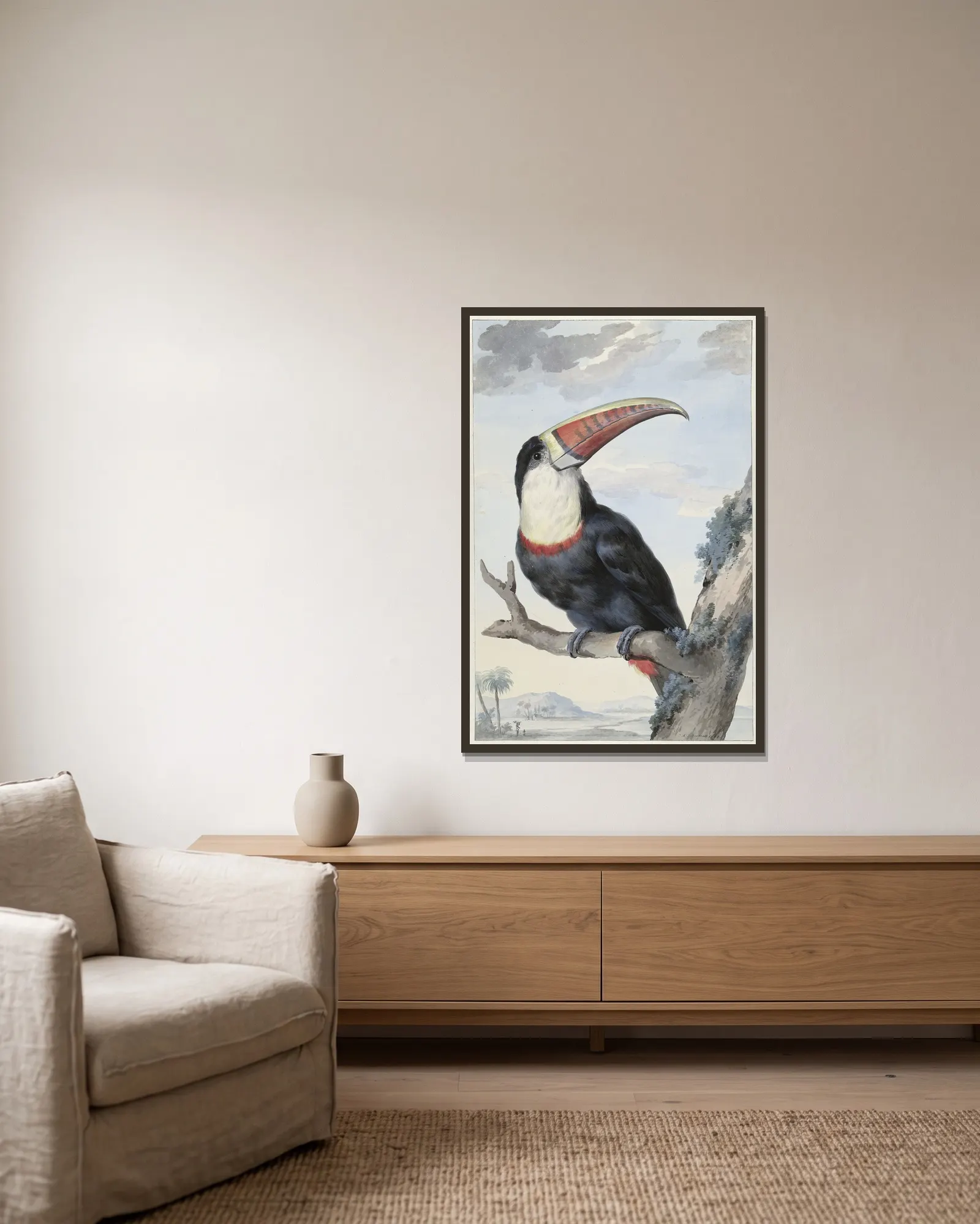 Red-billed Toucan av Aert Schouman inramad på en vägg