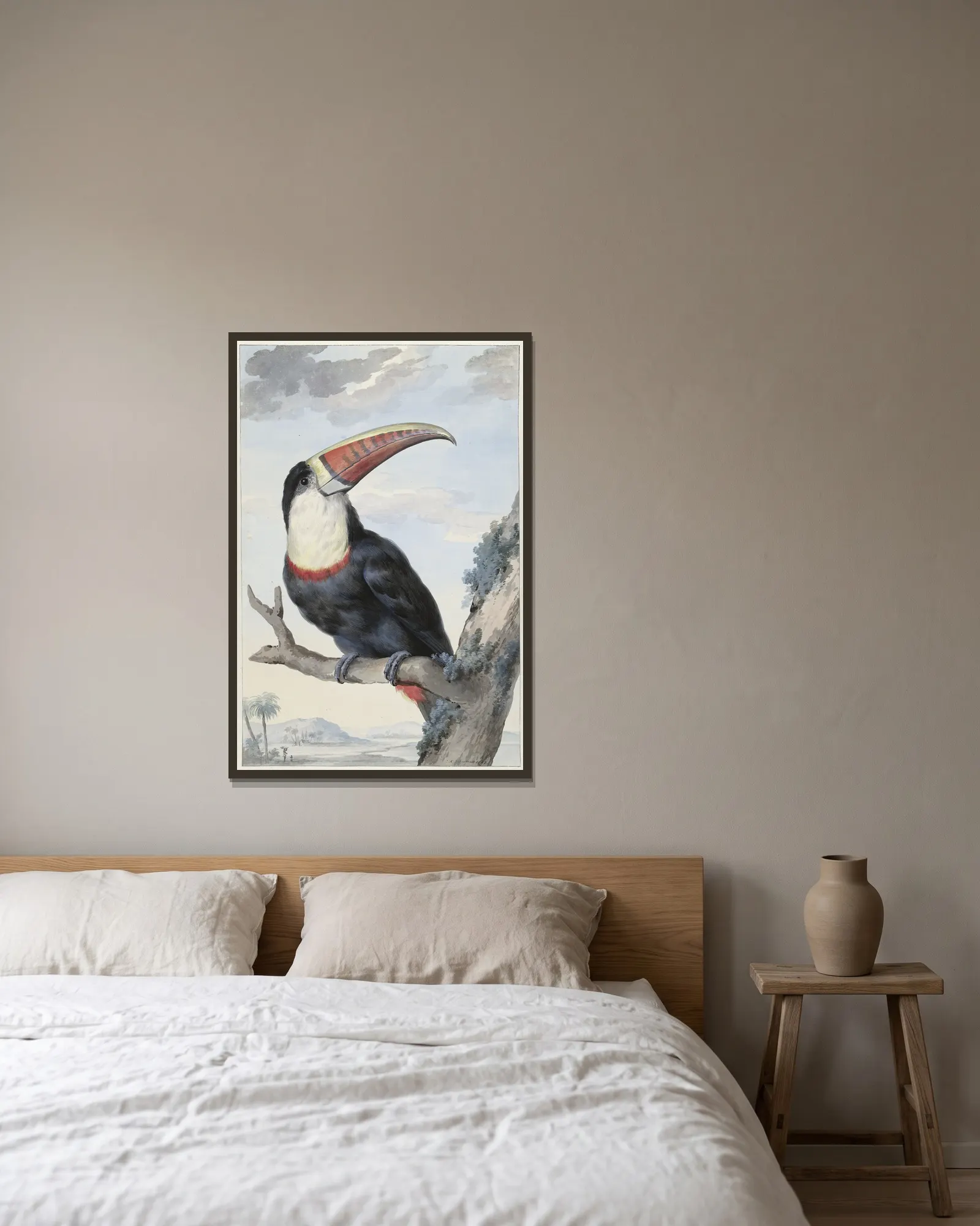 Red-billed Toucan av Aert Schouman inramad på en vägg