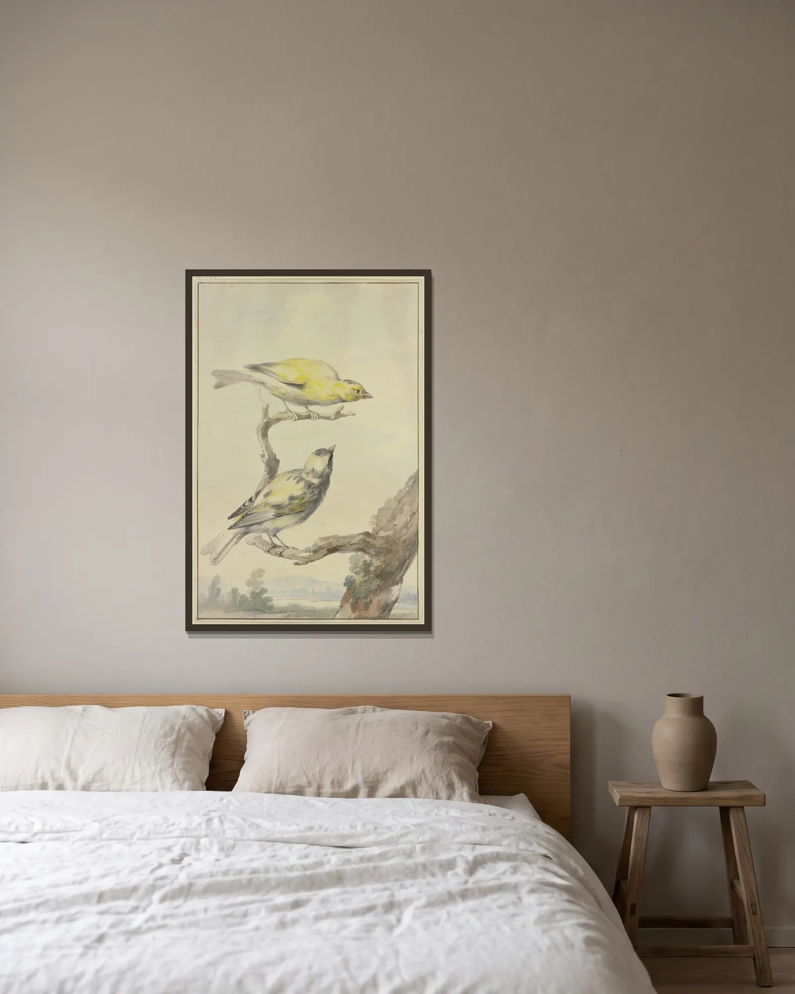 Two canaries av Aert Schouman inramad på en vägg