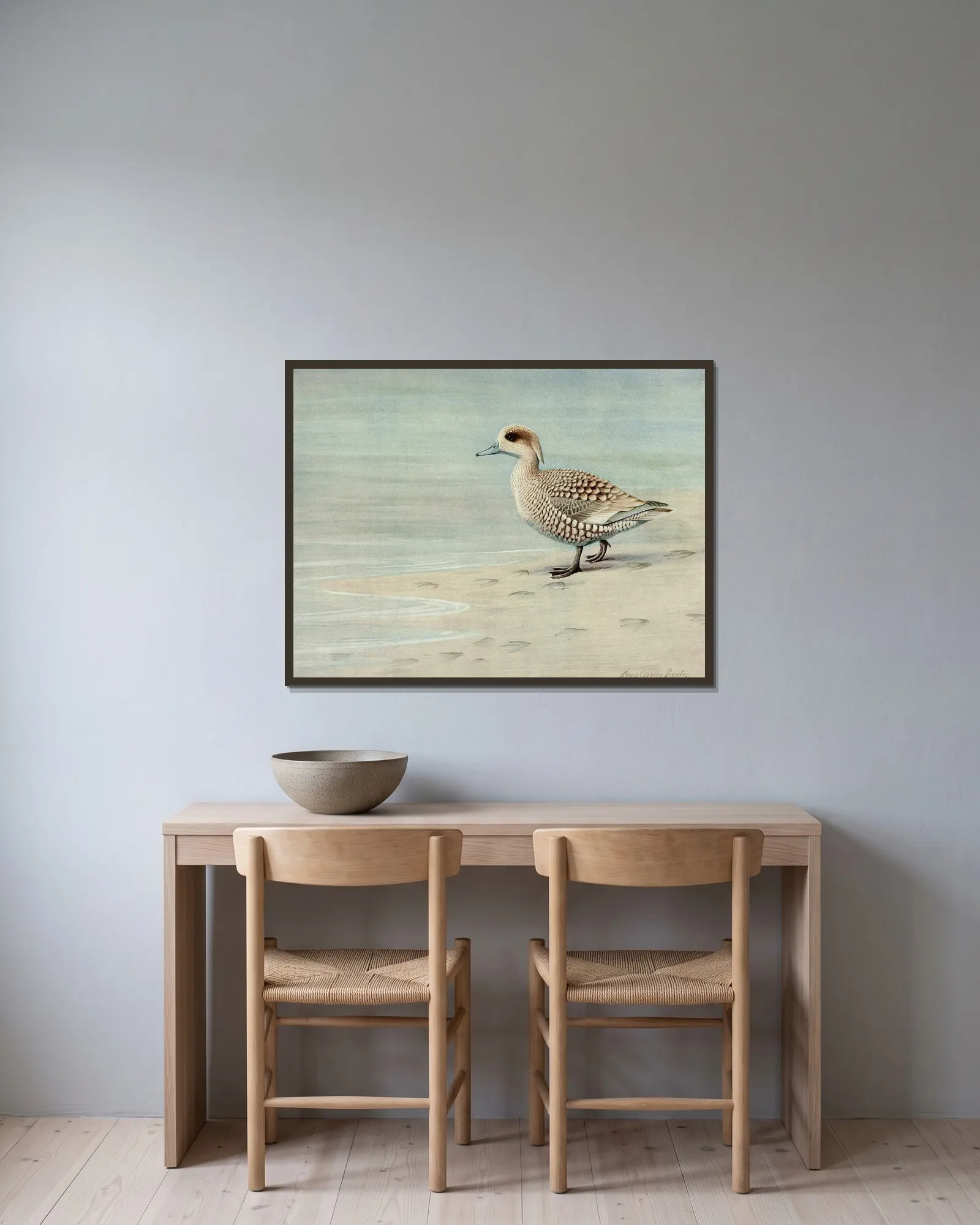 Marbled Duck av Louis Agassiz Fuertes inramad på en vägg