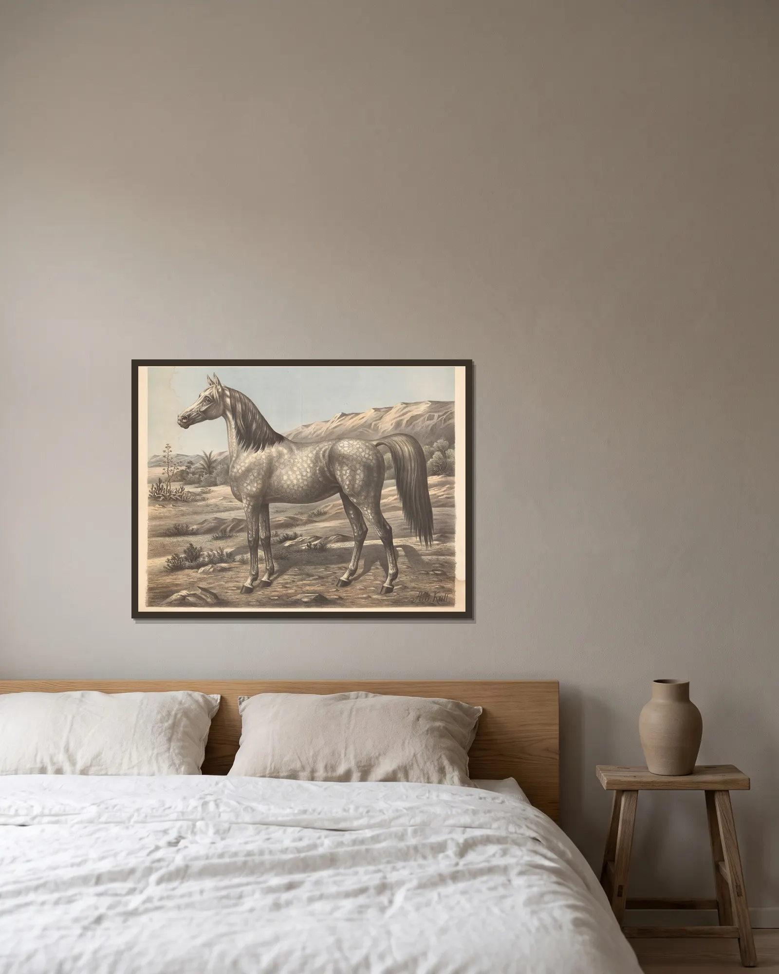 Horse (Arabian) av Albert Kull inramad på en vägg
