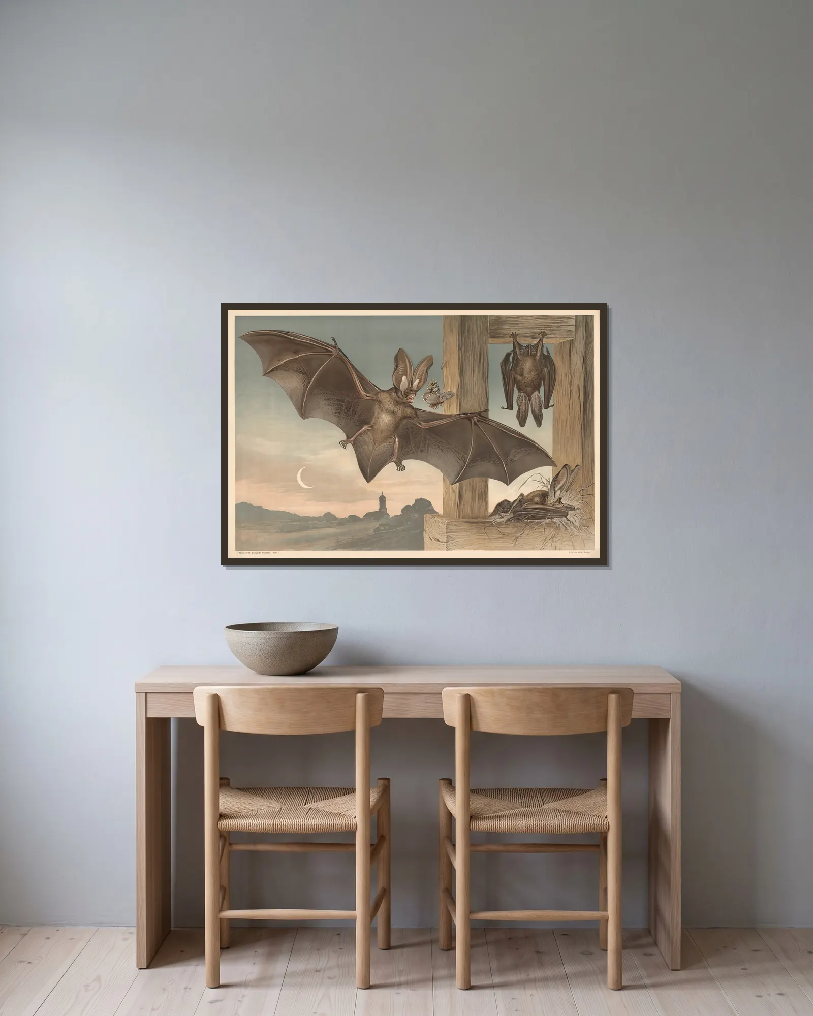 Bats av Alfred Fiedler inramad på en vägg