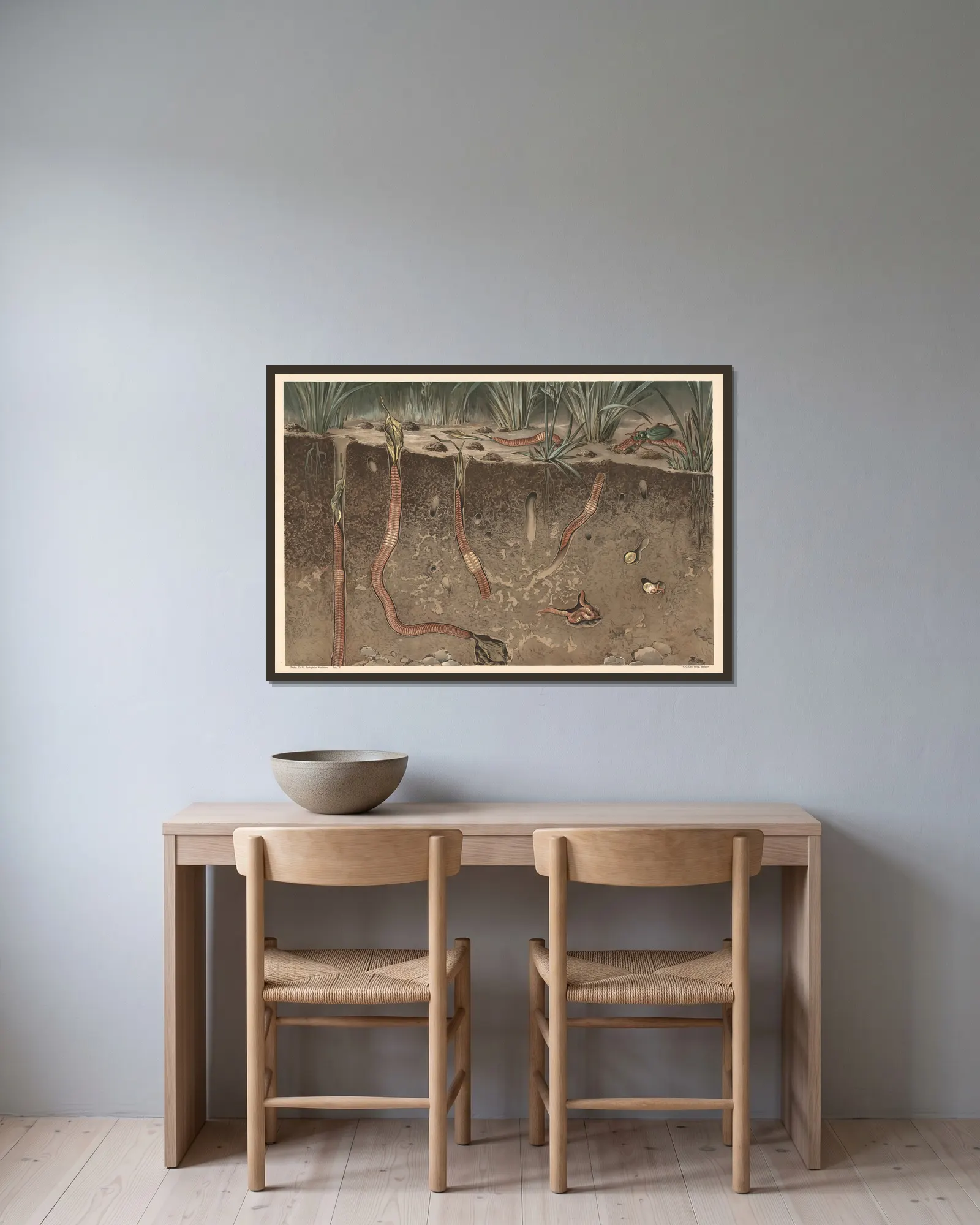 Earthworm av Alfred Fiedler inramad på en vägg