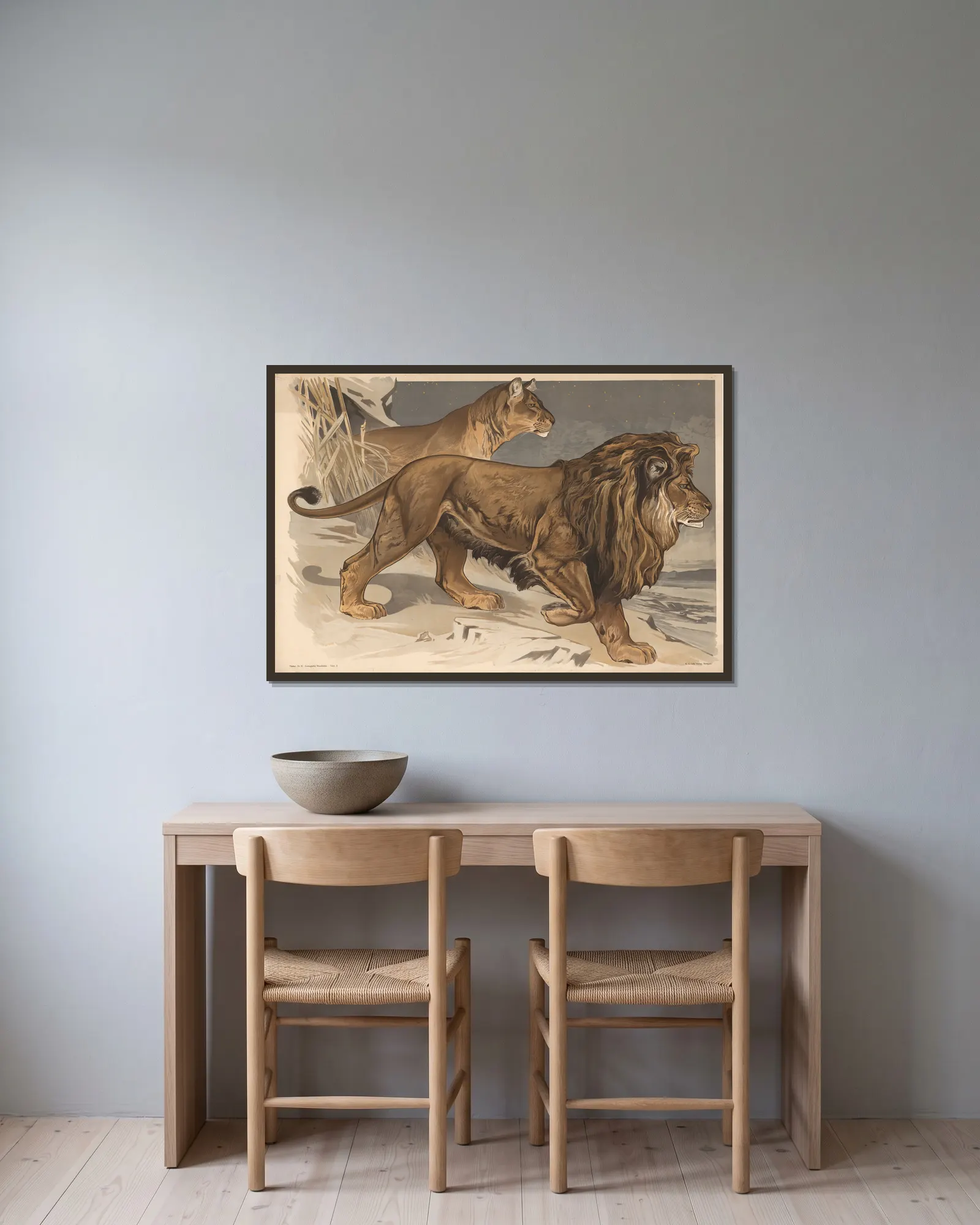 Lion av Alfred Fiedler inramad på en vägg
