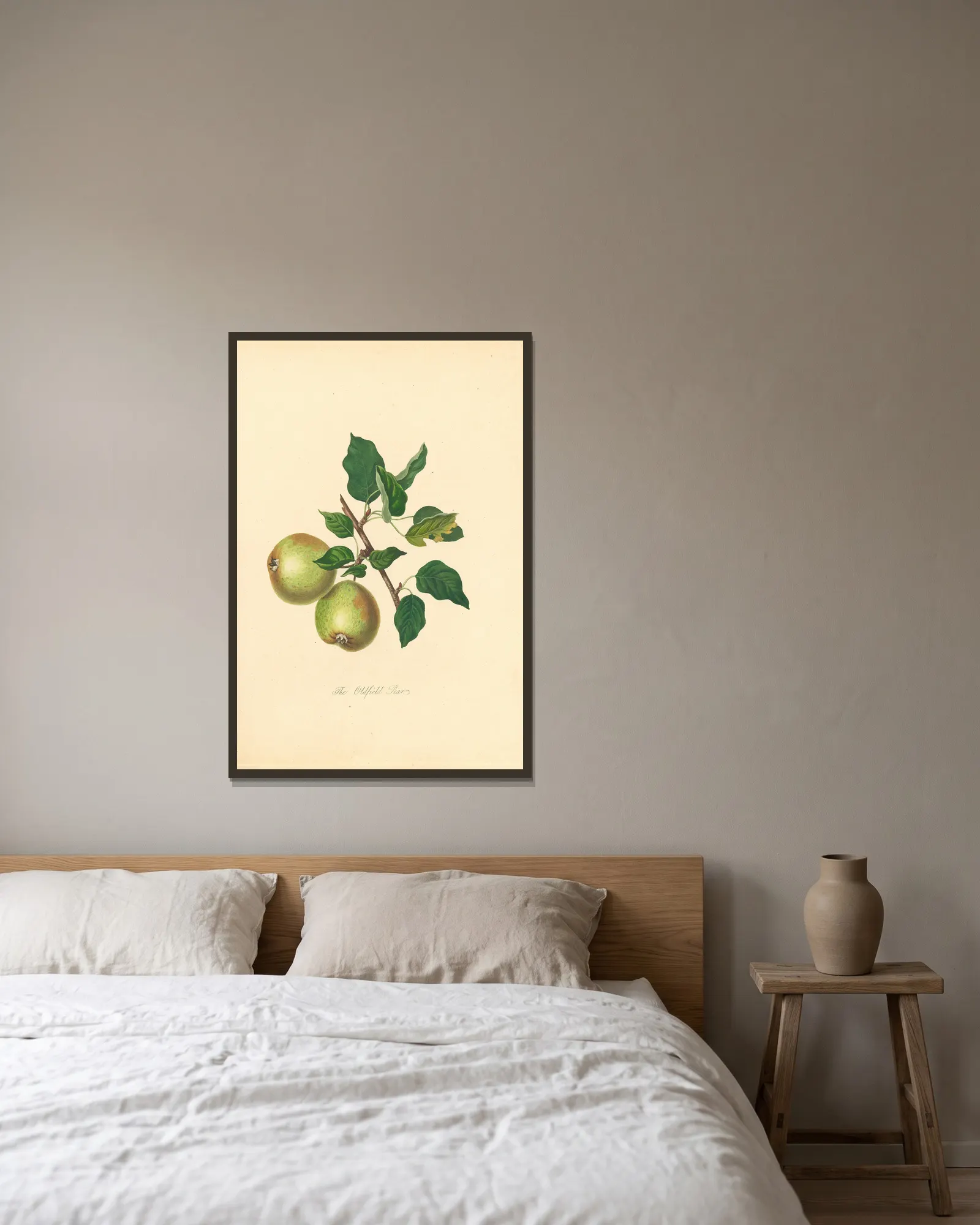 Oldfield Pear av Thomas Andrew Knight inramad på en vägg
