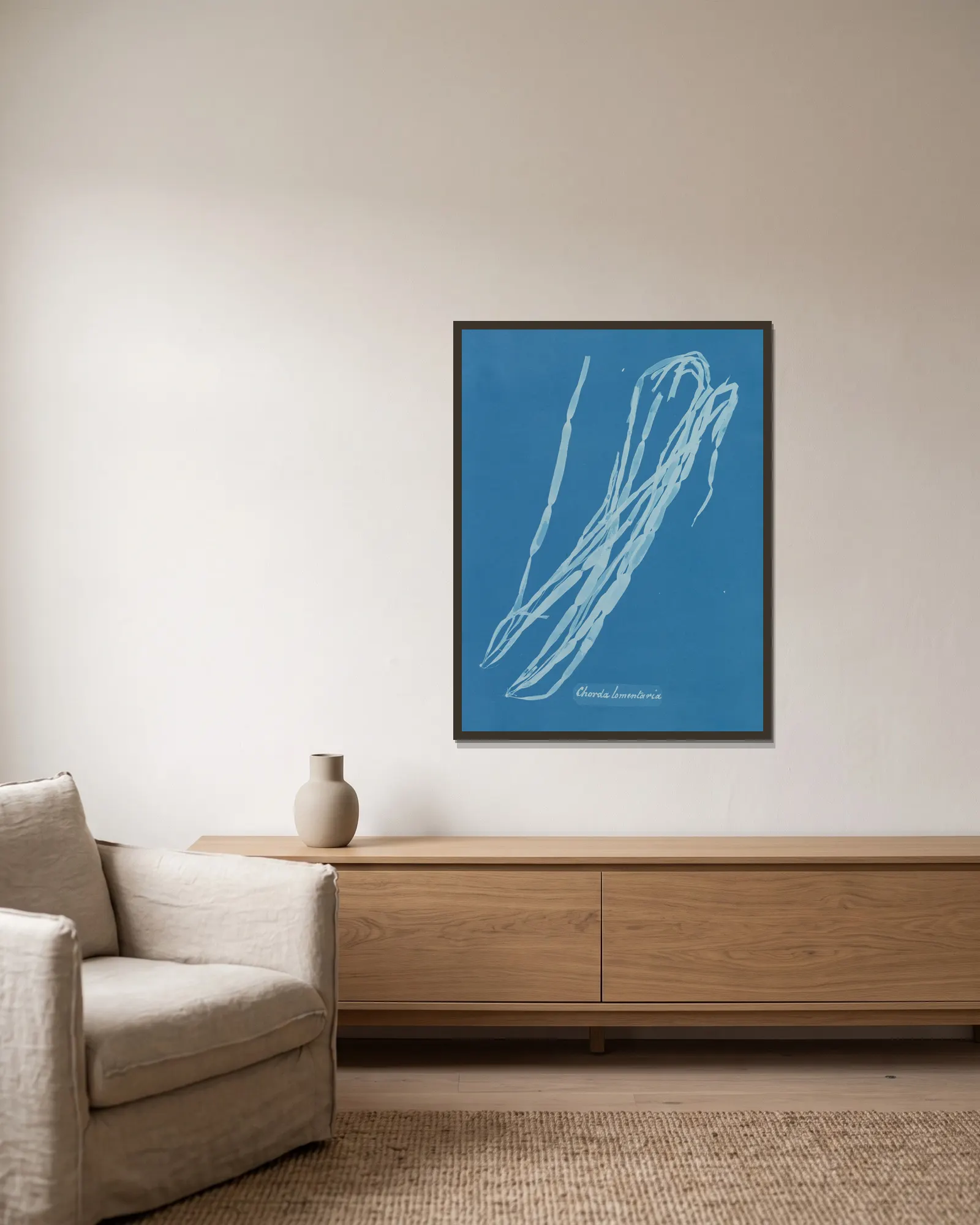 Chorda lomentaria av Anna Atkins inramad på en vägg