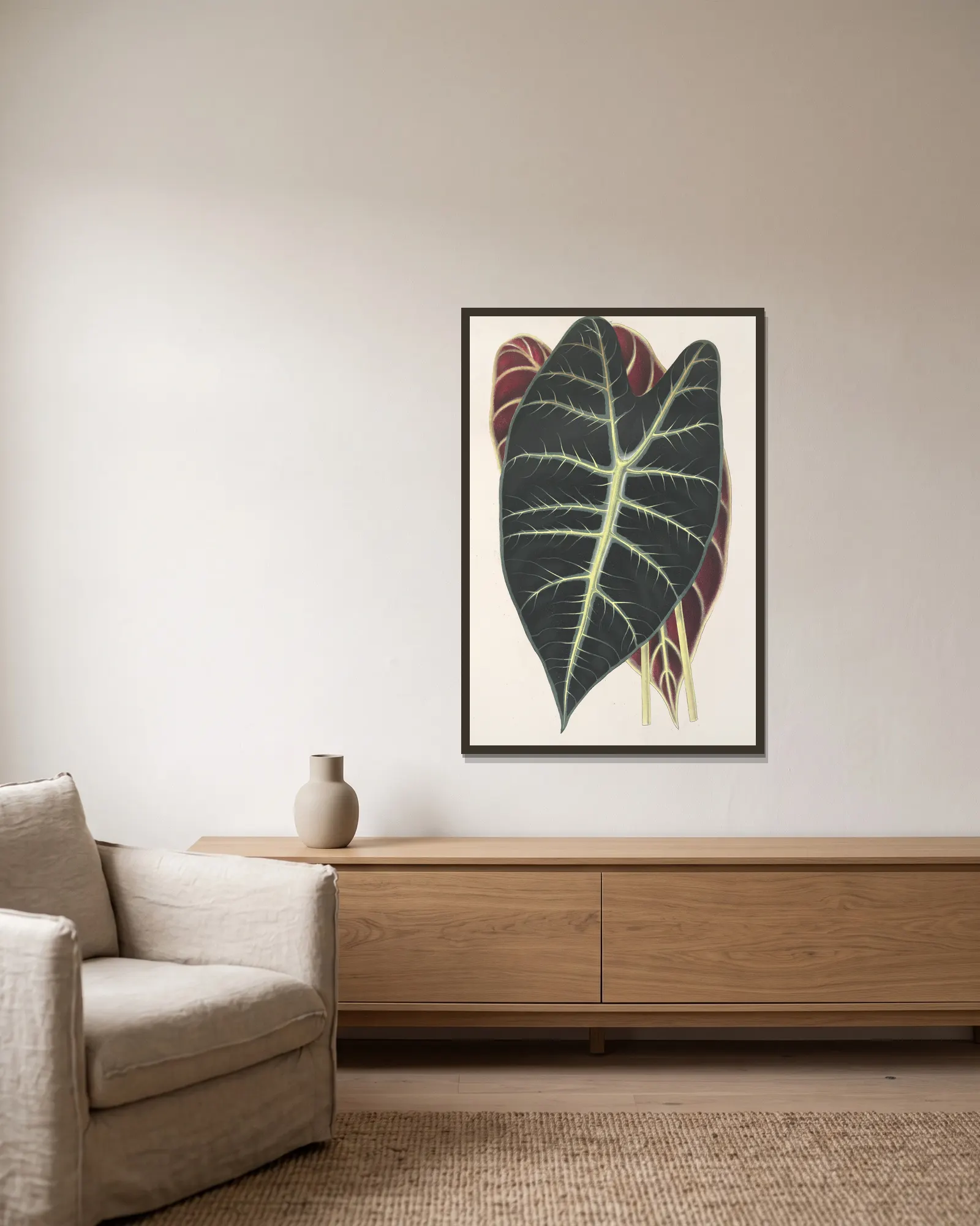 Caladium Lowii av Charles Antoine Lemaire inramad på en vägg