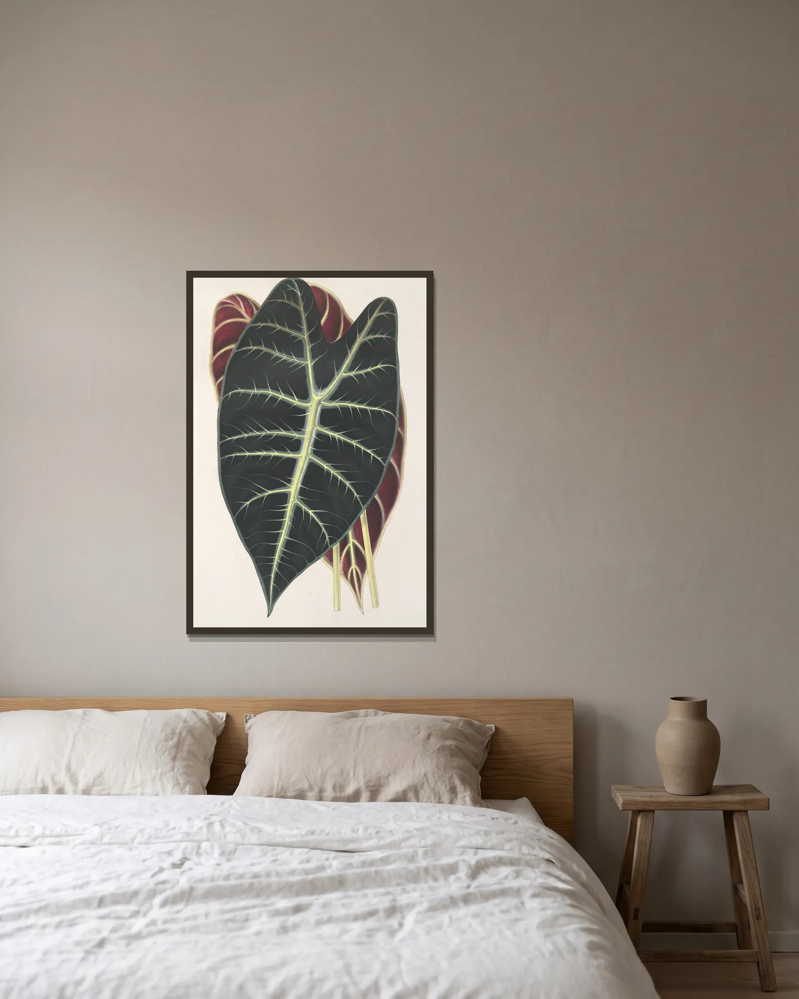 Caladium Lowii av Charles Antoine Lemaire inramad på en vägg