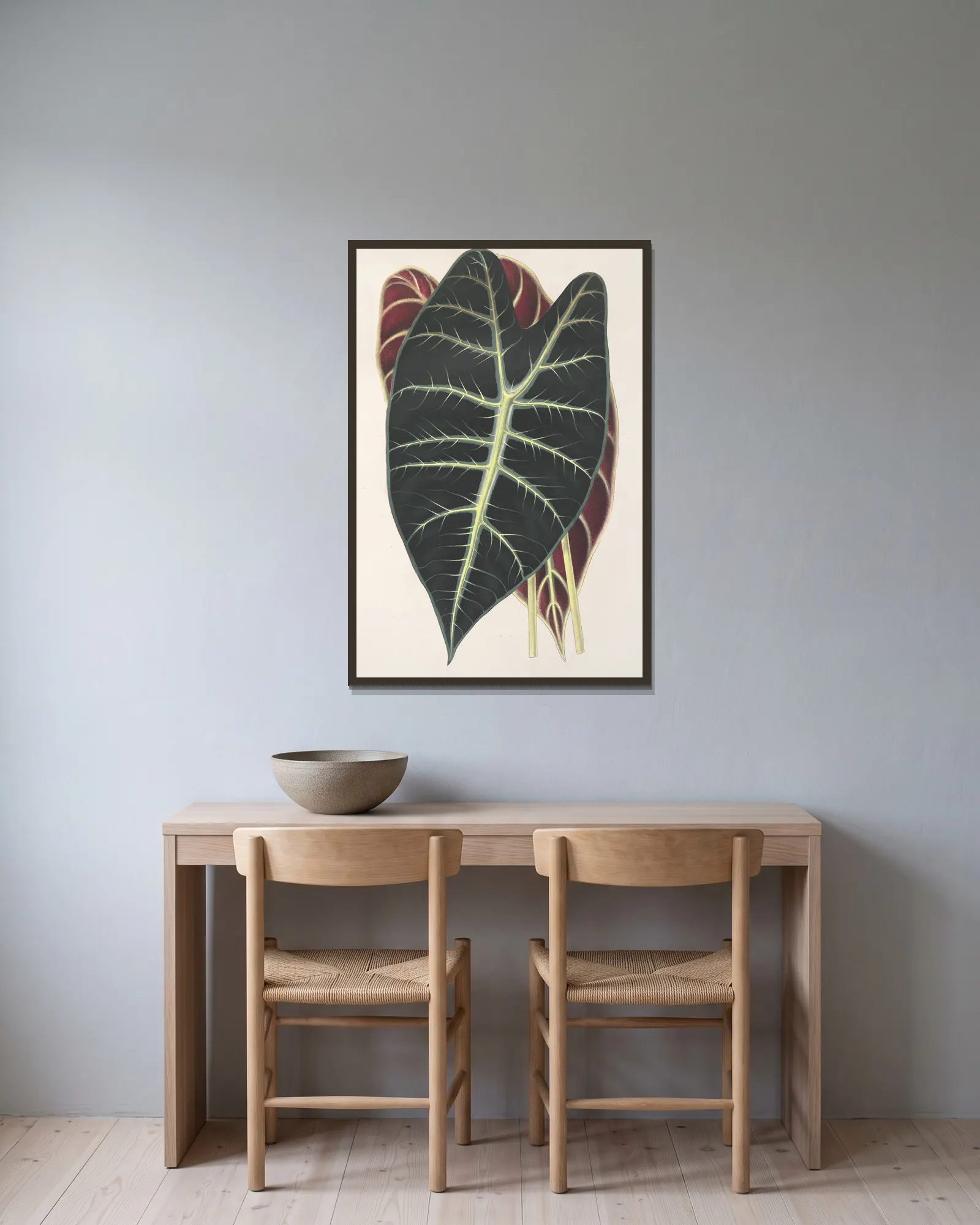 Caladium Lowii av Charles Antoine Lemaire inramad på en vägg