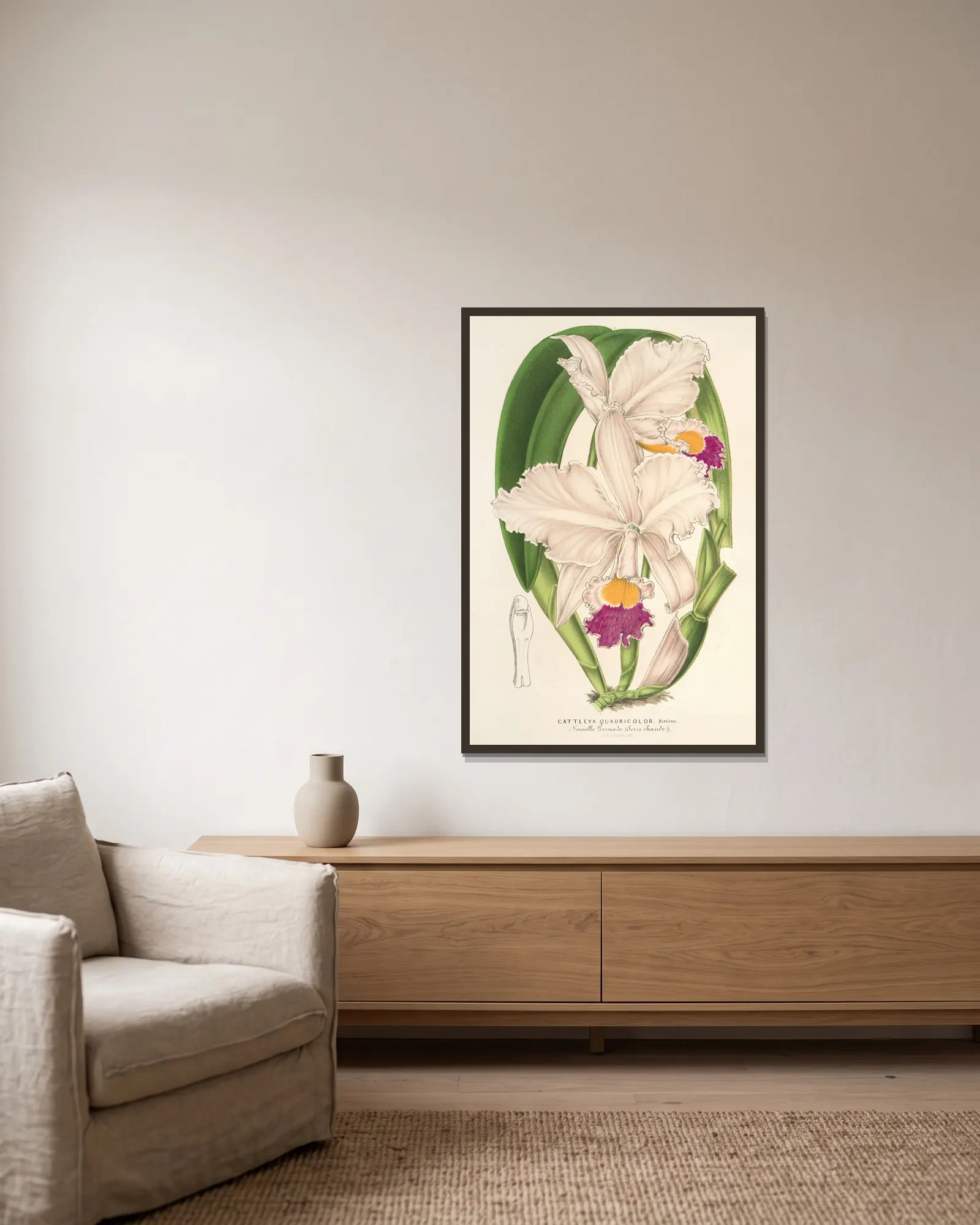 Cattleya quadricolor av Charles Antoine Lemaire inramad på en vägg