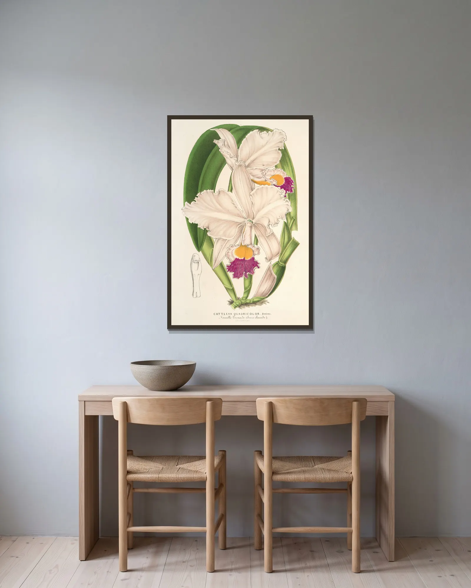 Cattleya quadricolor av Charles Antoine Lemaire inramad på en vägg