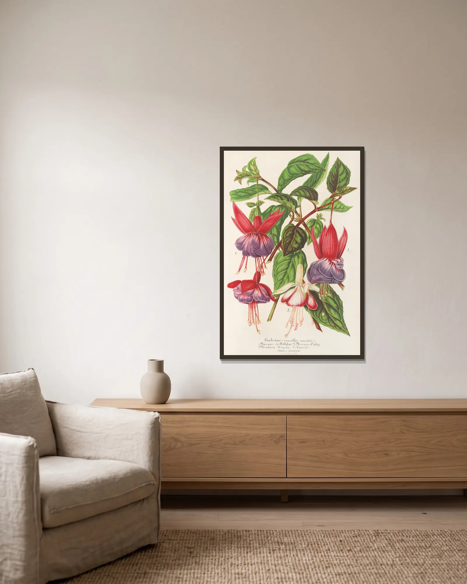 Fuchsia (nouvelles variétés de) av Charles Antoine Lemaire inramad på en vägg