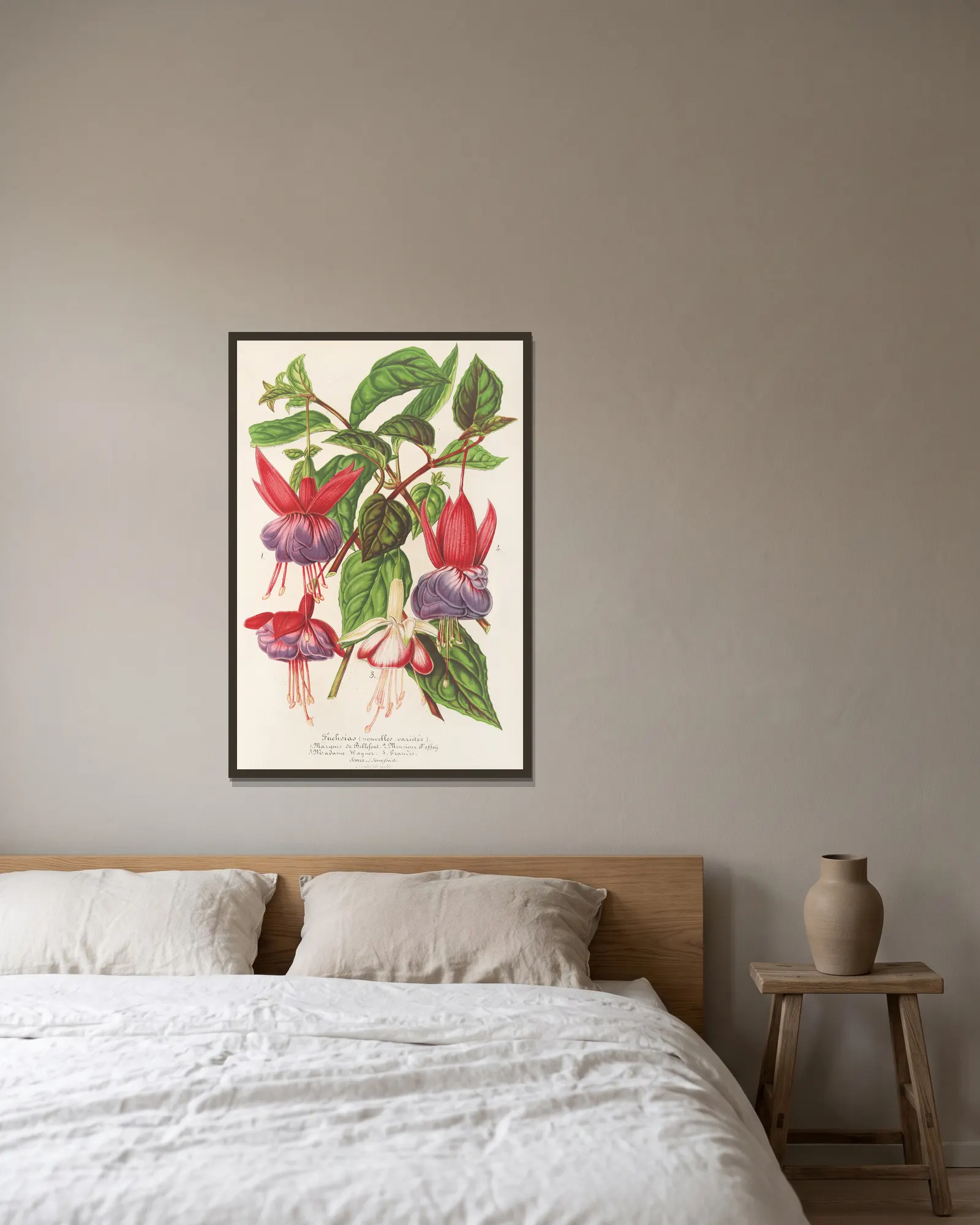 Fuchsia (nouvelles variétés de) av Charles Antoine Lemaire inramad på en vägg