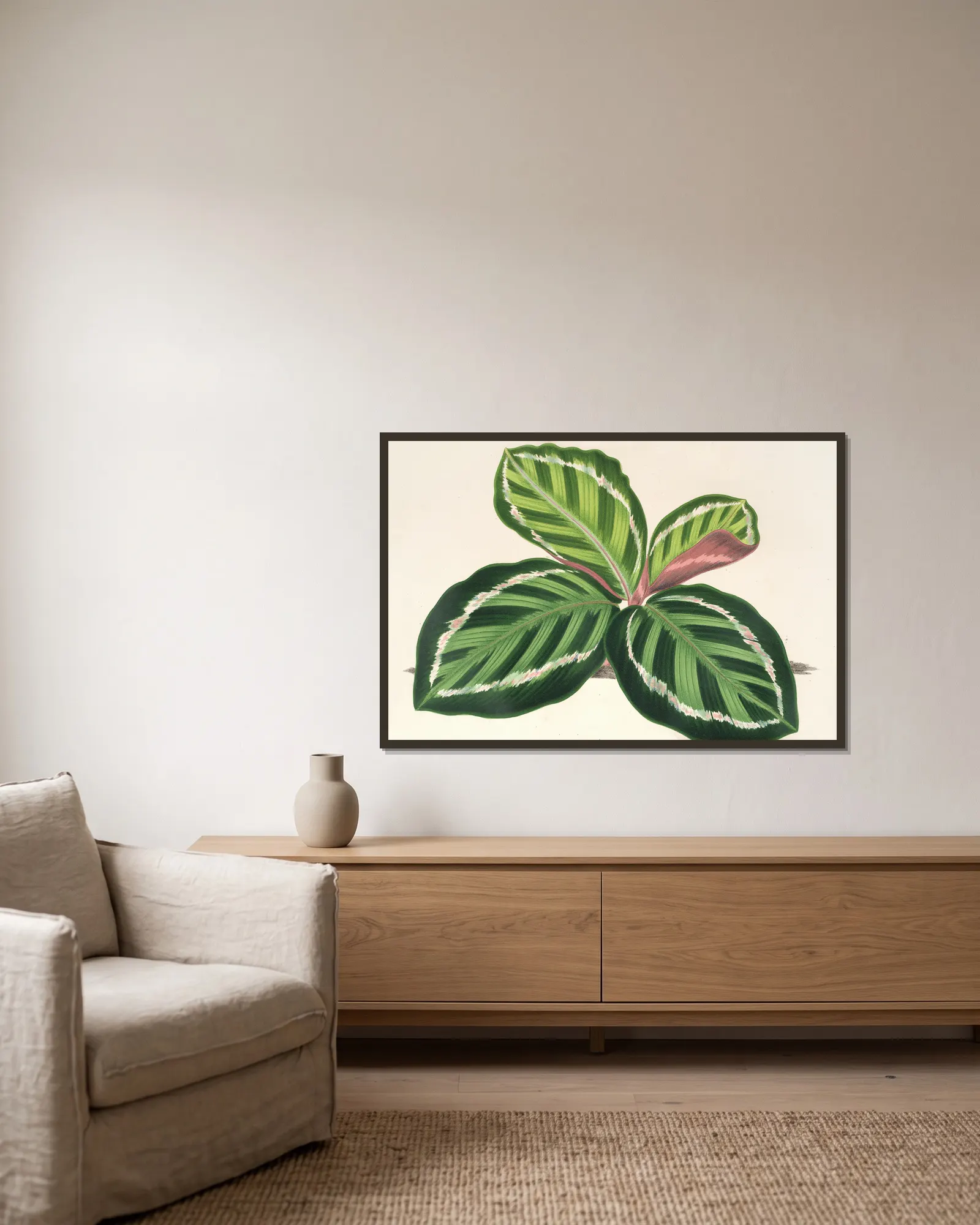 Maranta illustris av Charles Antoine Lemaire inramad på en vägg