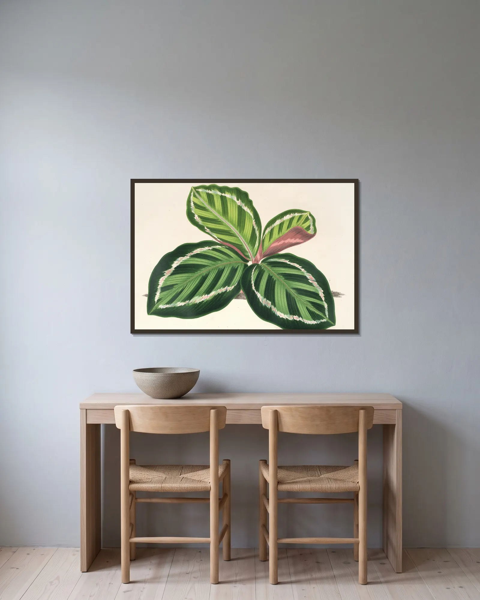 Maranta illustris av Charles Antoine Lemaire inramad på en vägg