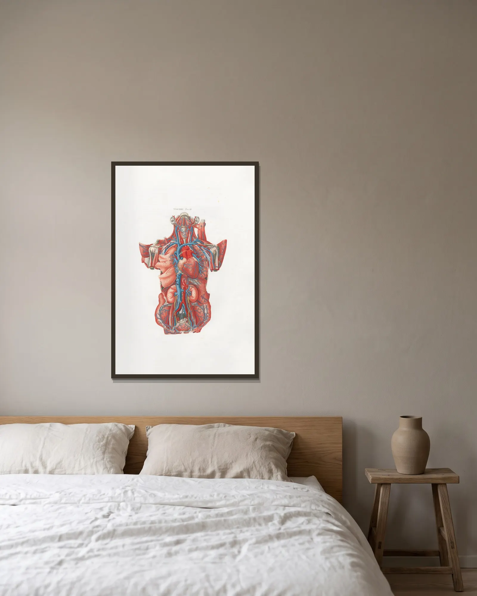Anatomia Universale Pl.13 av Antonio Serantoni inramad på en vägg