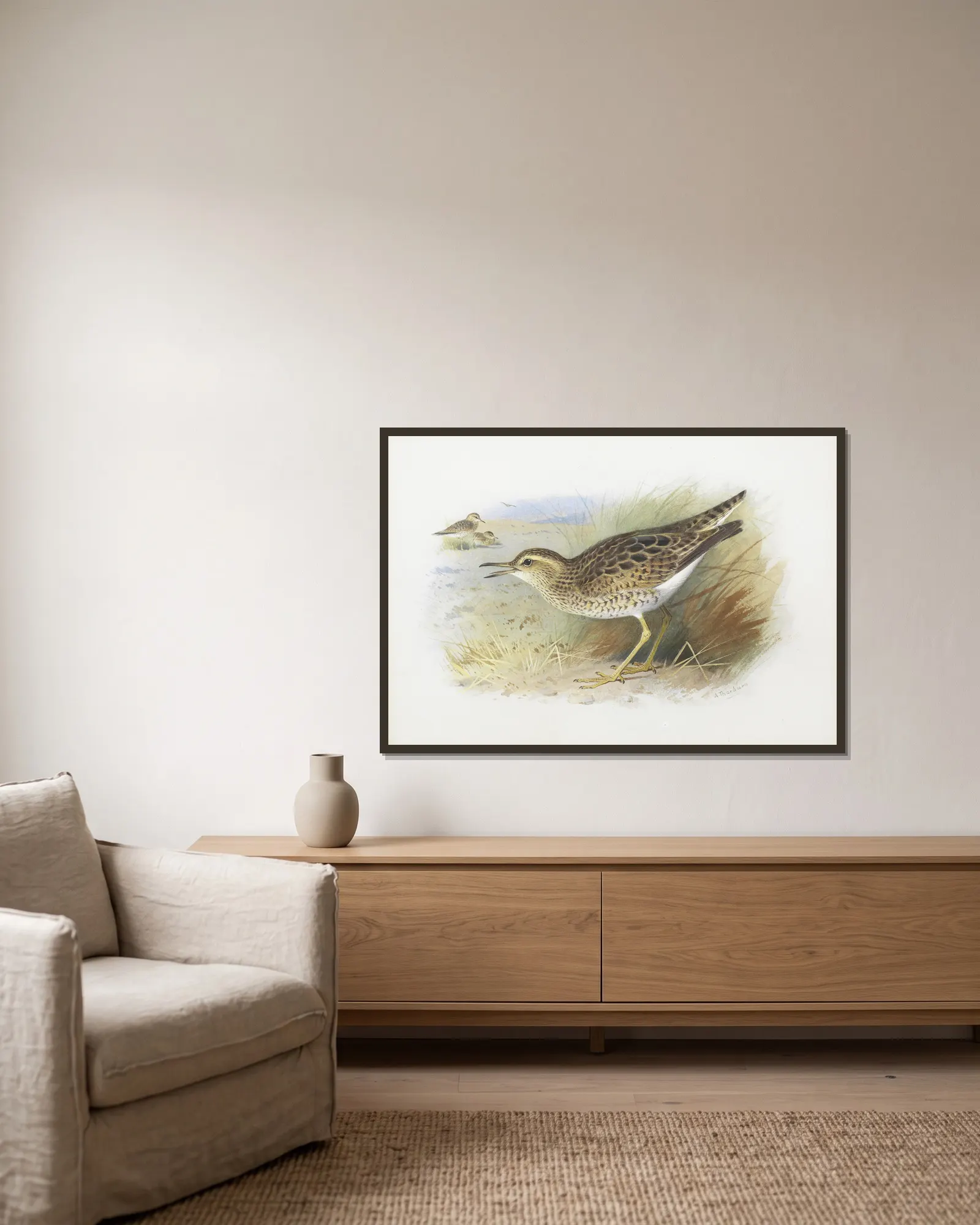Bartram’s Plover av Archibald Thorburn inramad på en vägg