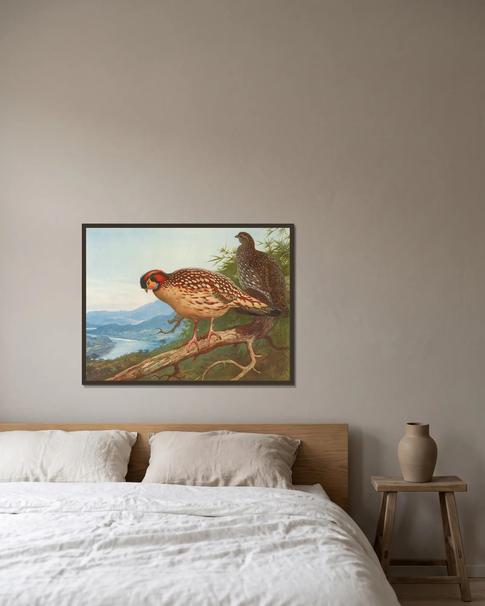 Cabot’s Tragopan av Archibald Thorburn inramad på en vägg