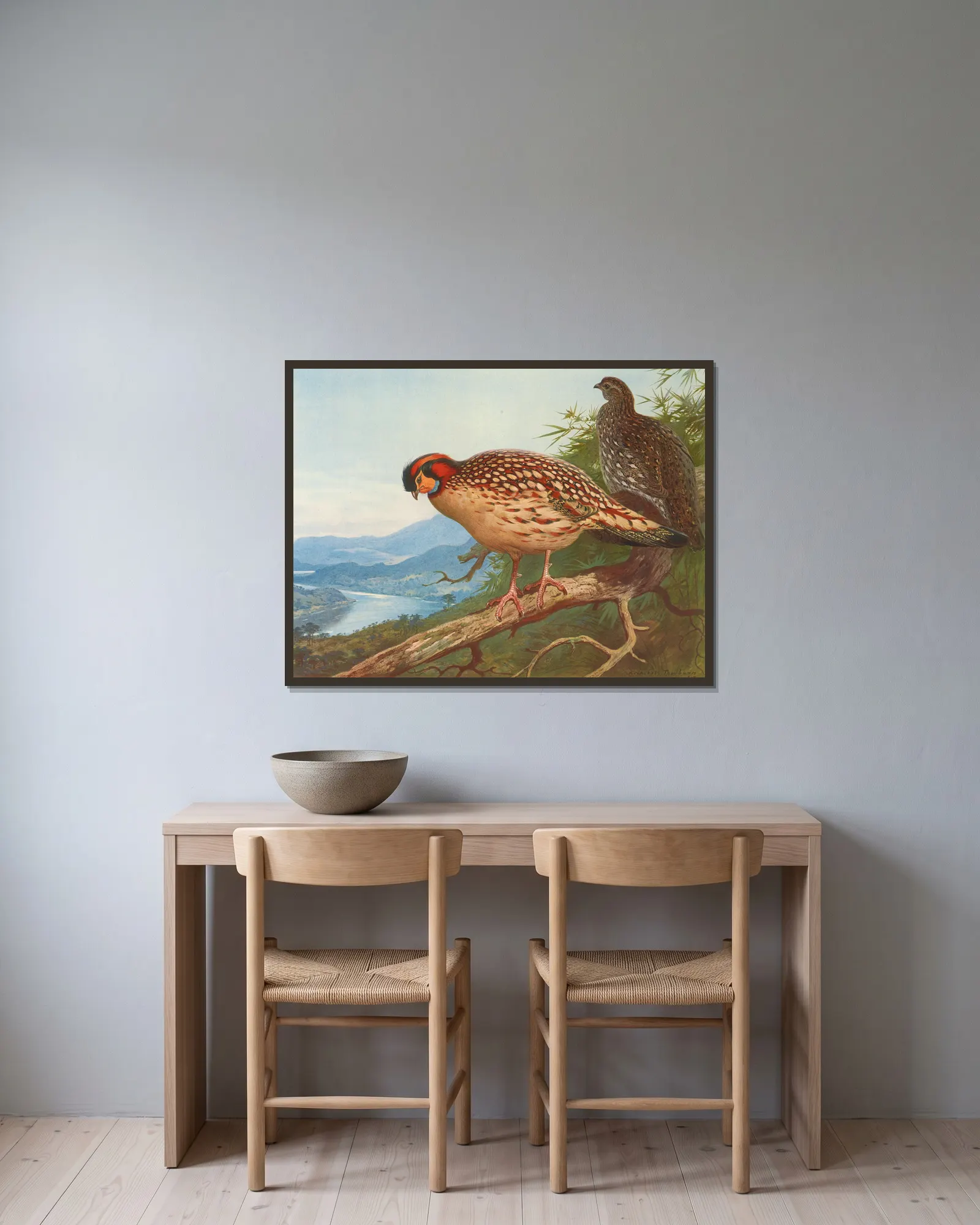Cabot’s Tragopan av Archibald Thorburn inramad på en vägg