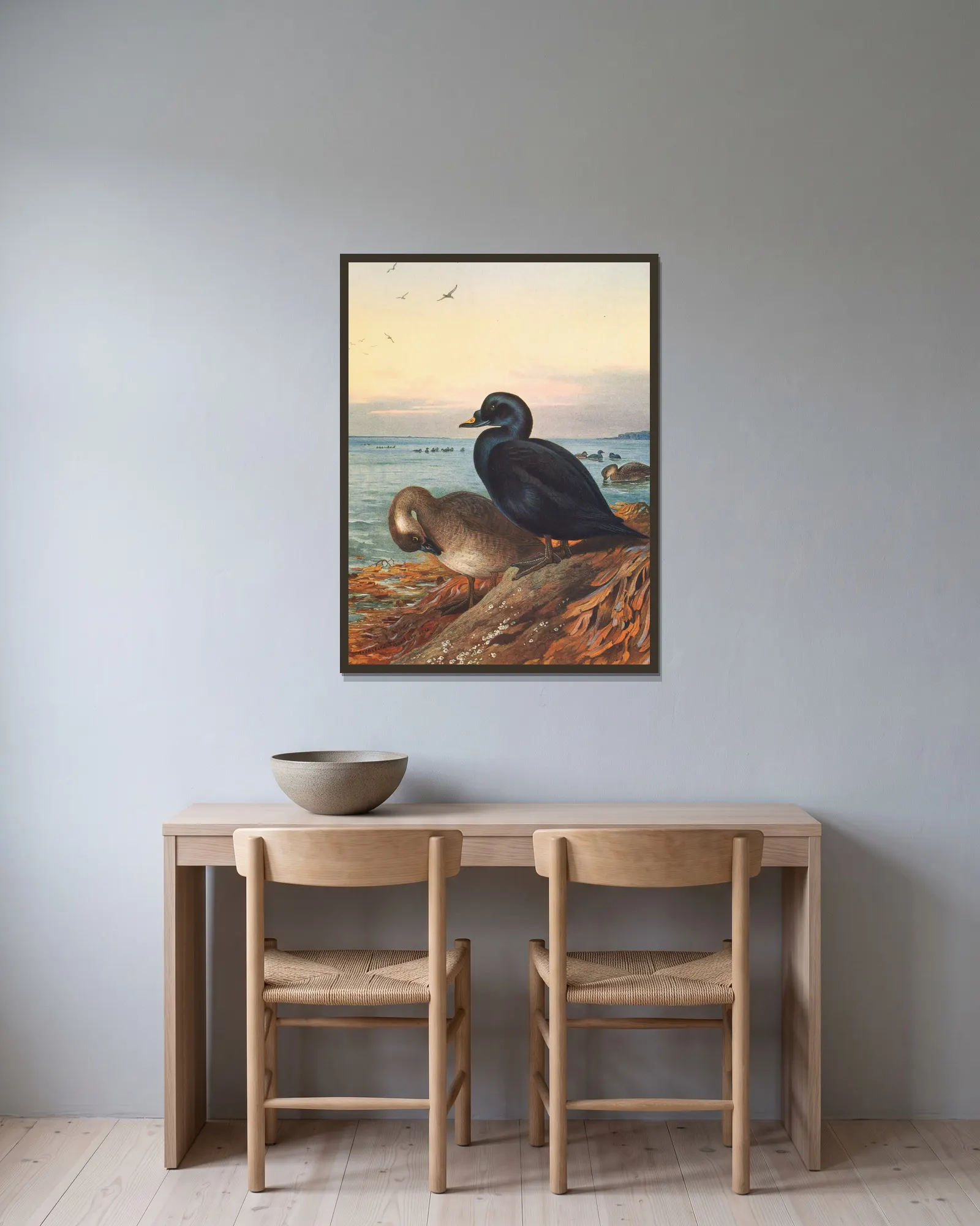 Common Scoter av Archibald Thorburn inramad på en vägg