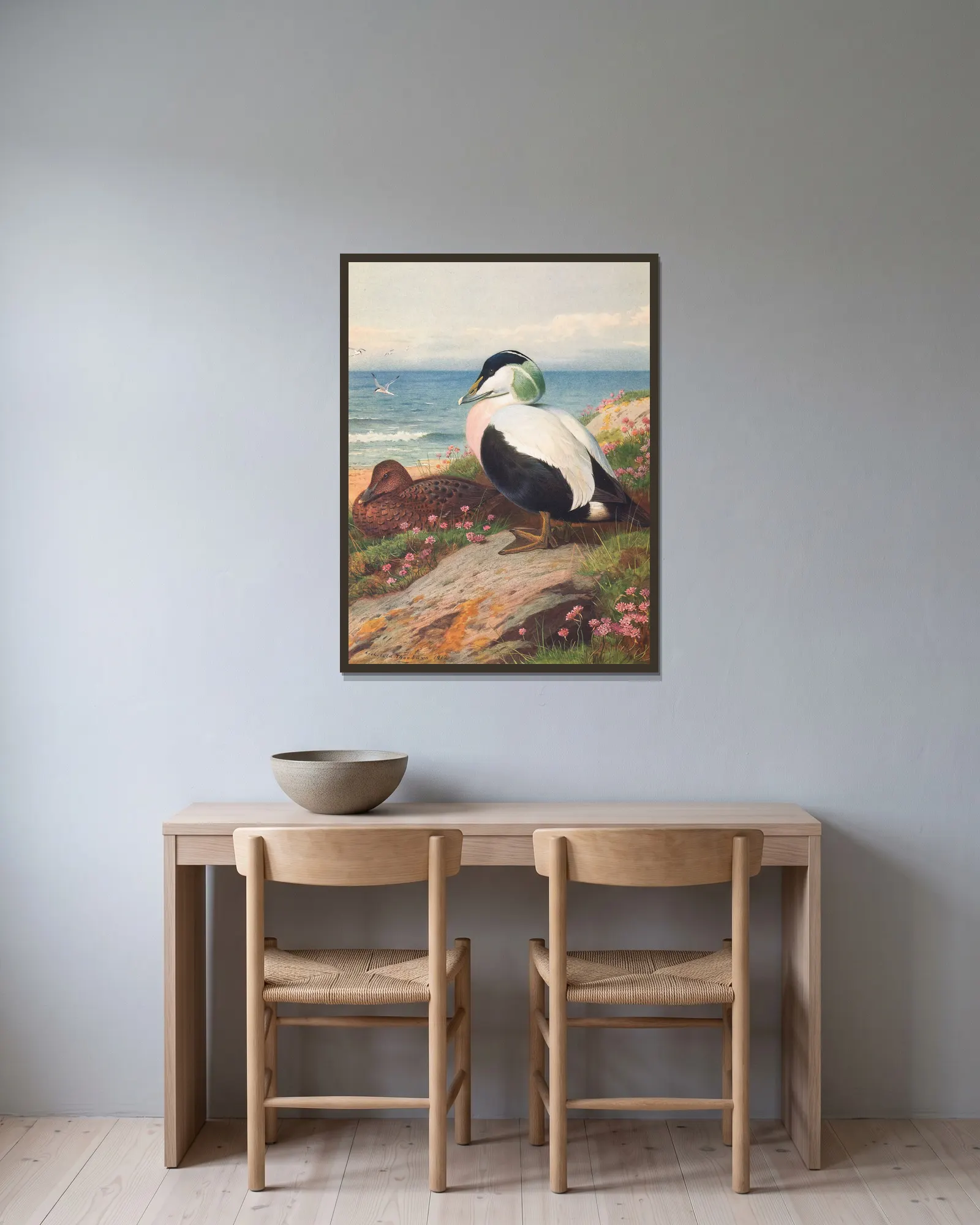 Eider Duck av Archibald Thorburn inramad på en vägg