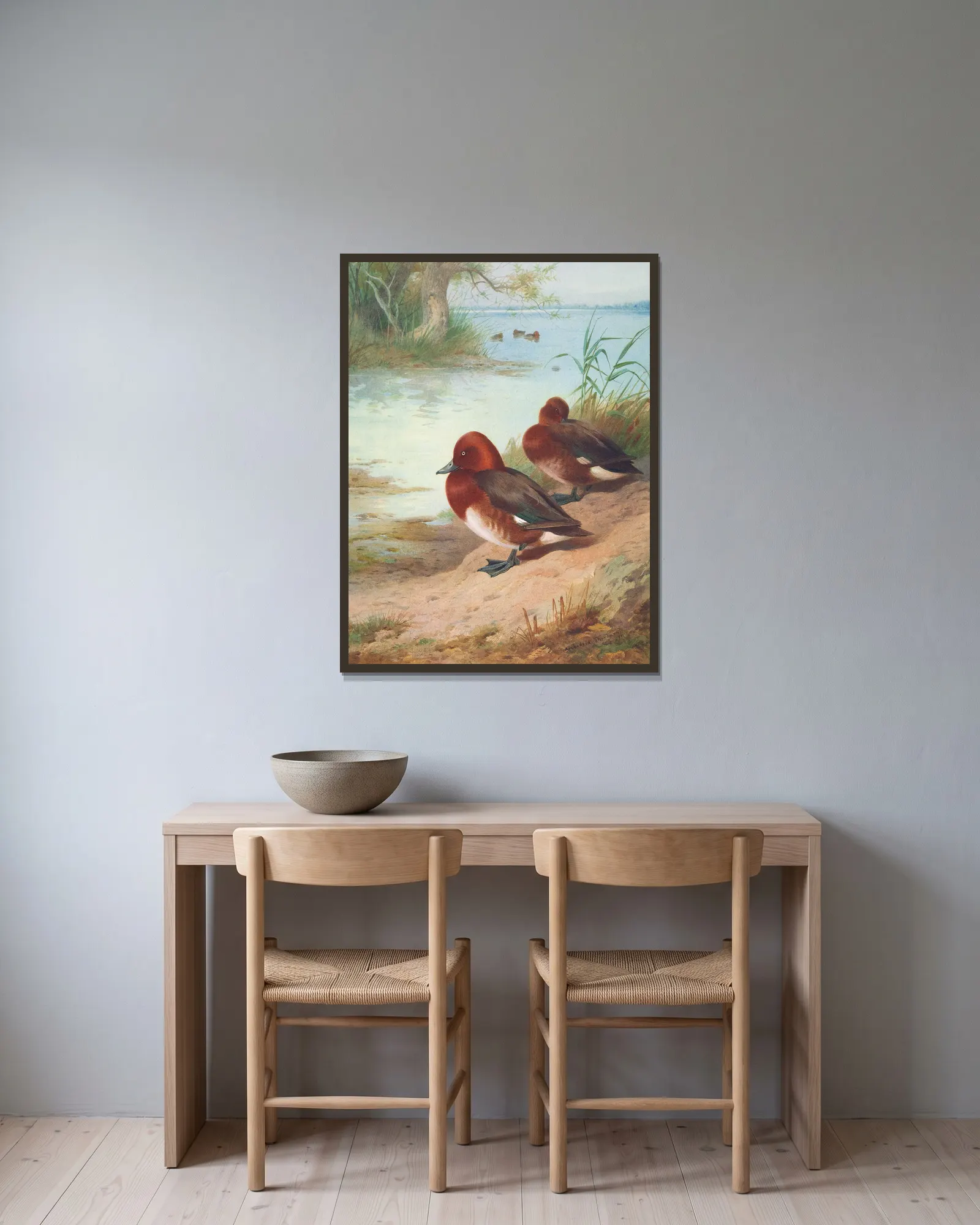 Ferruginous Duck av Archibald Thorburn inramad på en vägg