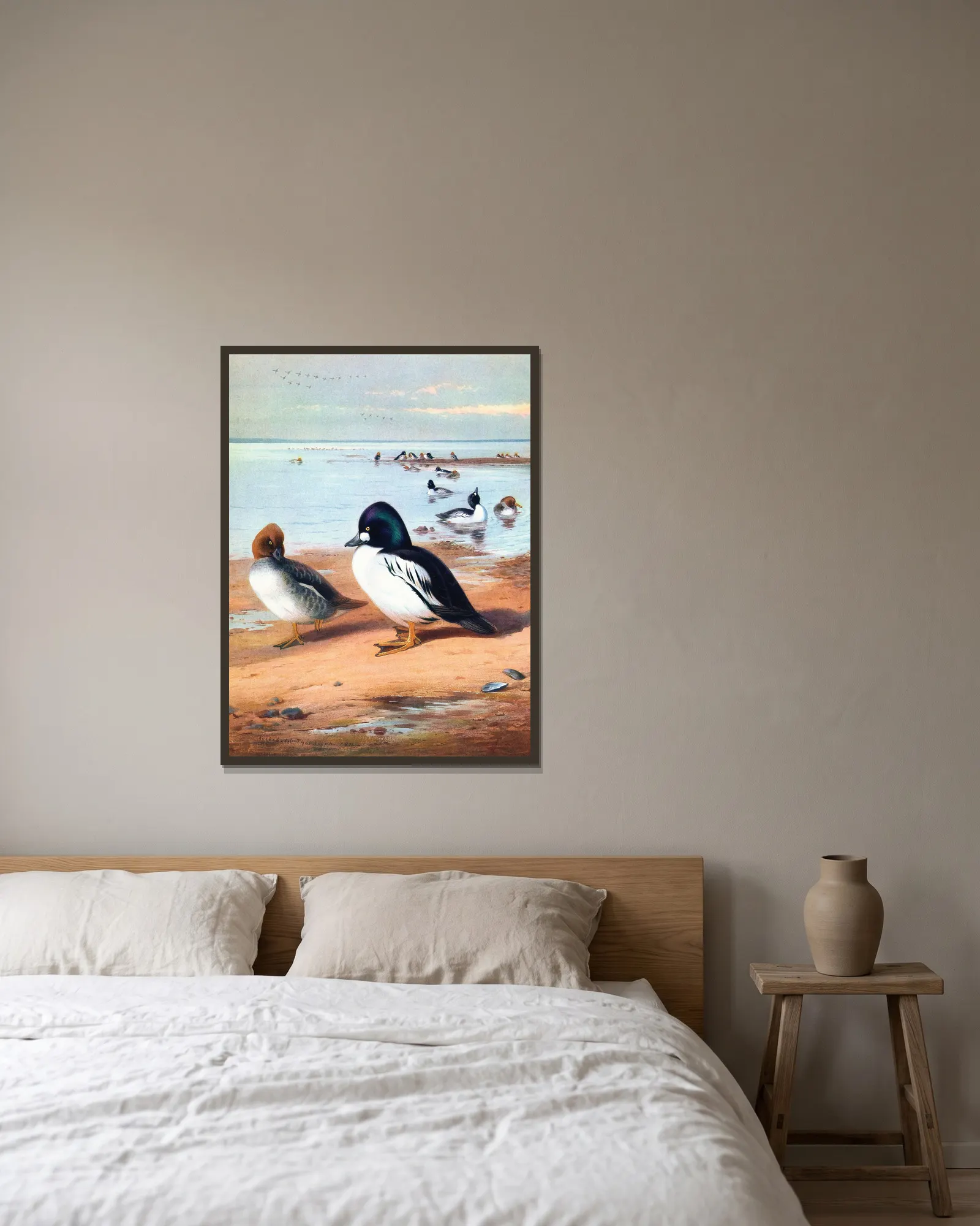 Golden-Eye av Archibald Thorburn inramad på en vägg