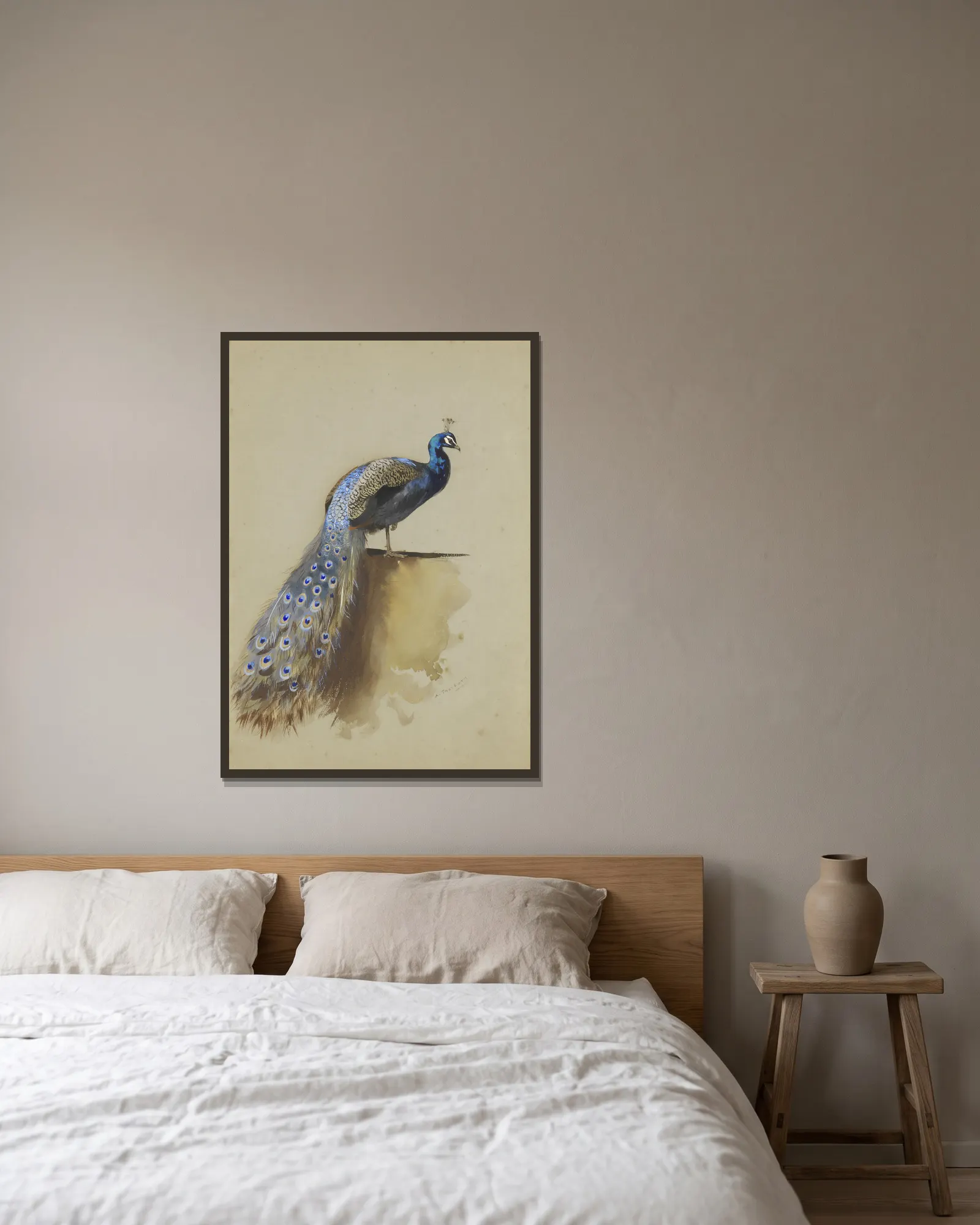 Peacock av Archibald Thorburn inramad på en vägg