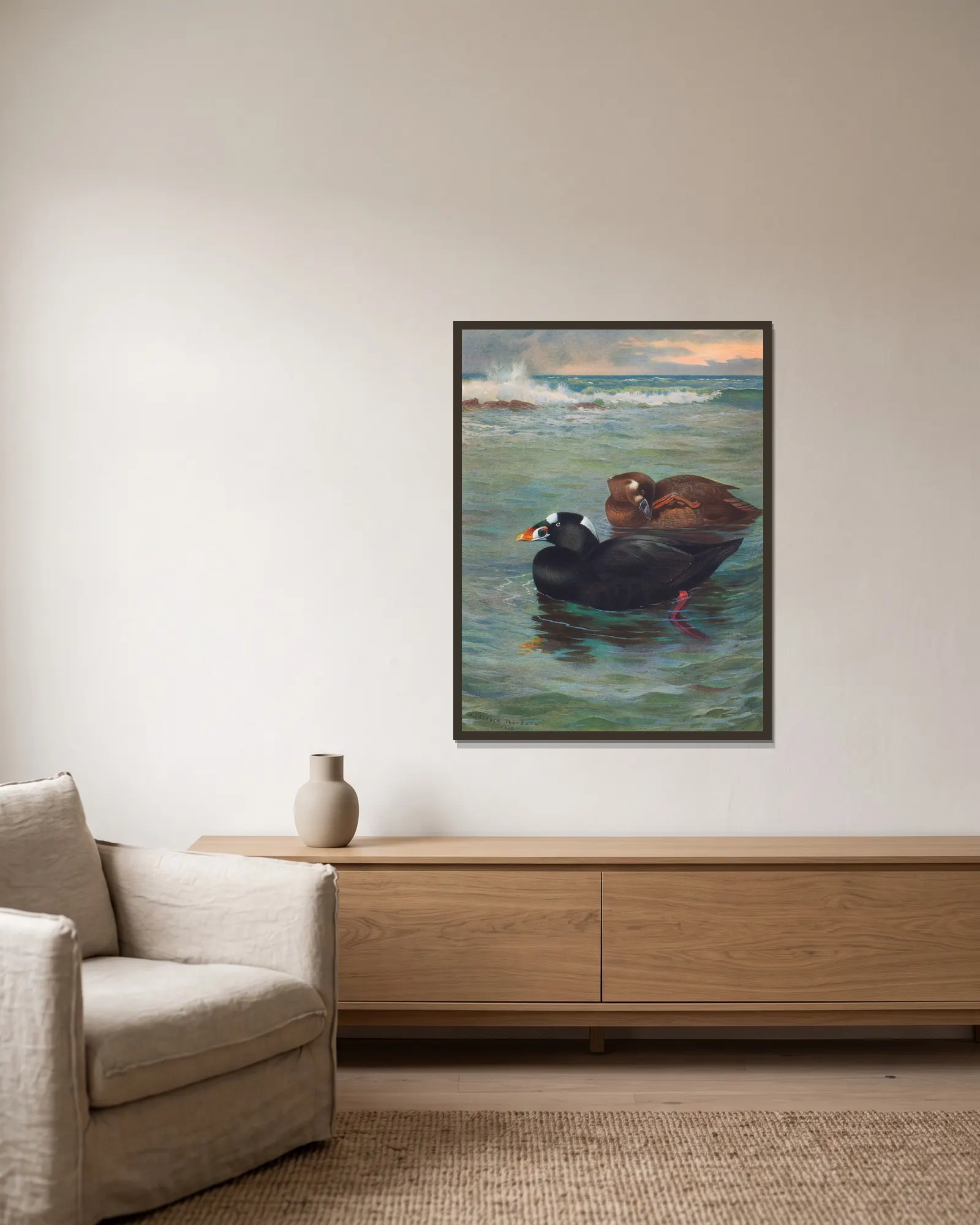 Surf-Scoter av Archibald Thorburn inramad på en vägg