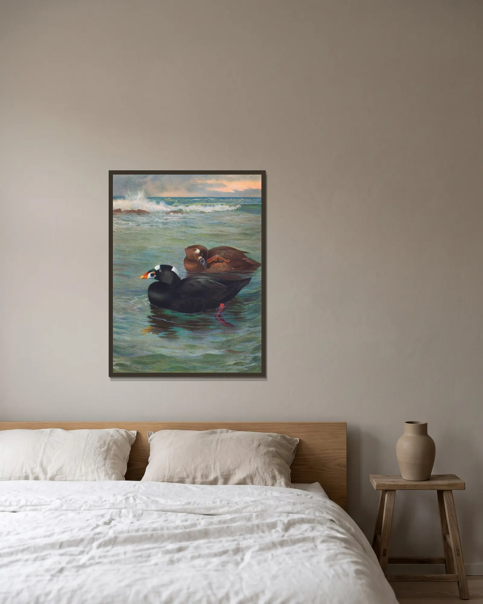 Surf-Scoter av Archibald Thorburn inramad på en vägg