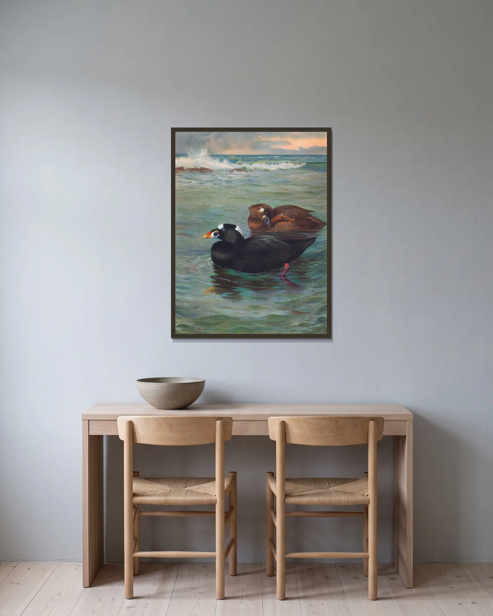 Surf-Scoter av Archibald Thorburn inramad på en vägg