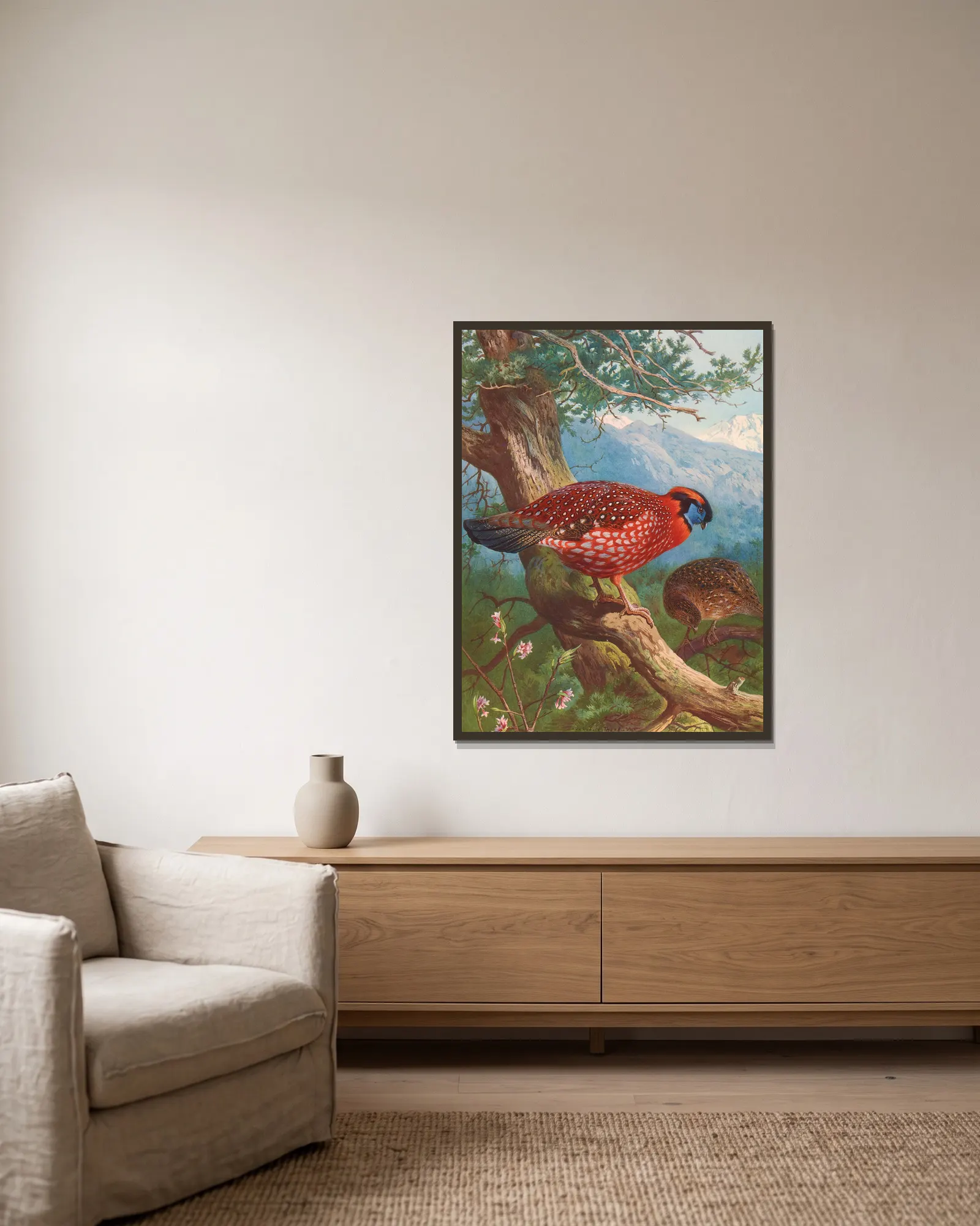 Temminck’s Tragopan av Archibald Thorburn inramad på en vägg