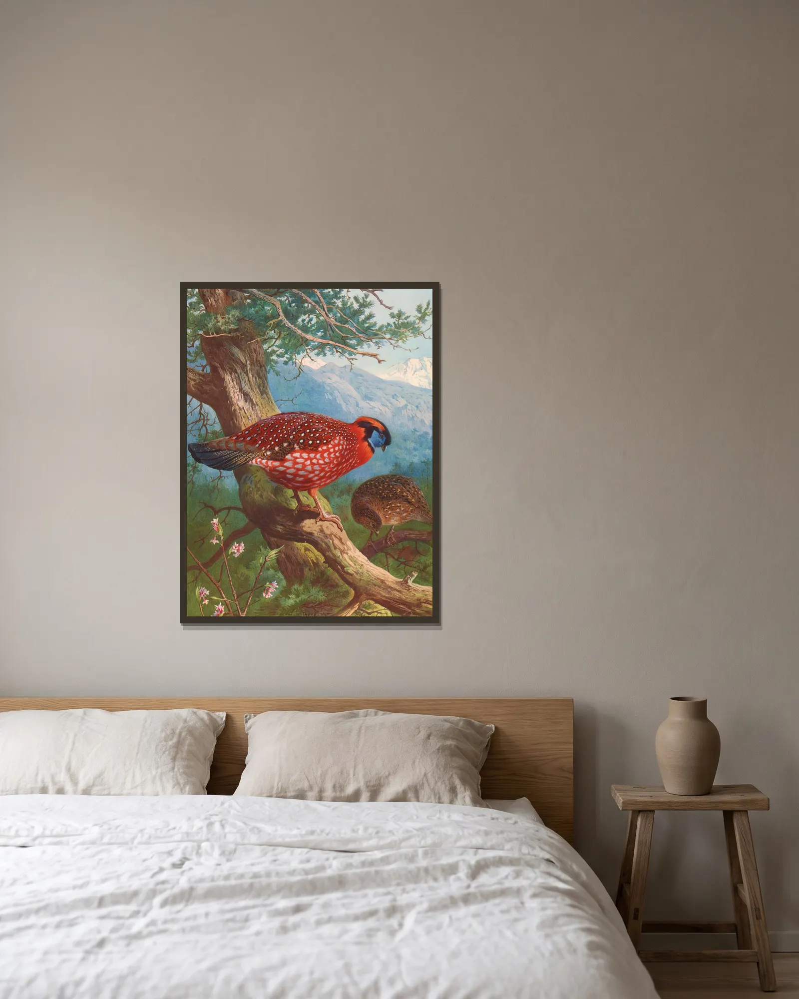 Temminck’s Tragopan av Archibald Thorburn inramad på en vägg