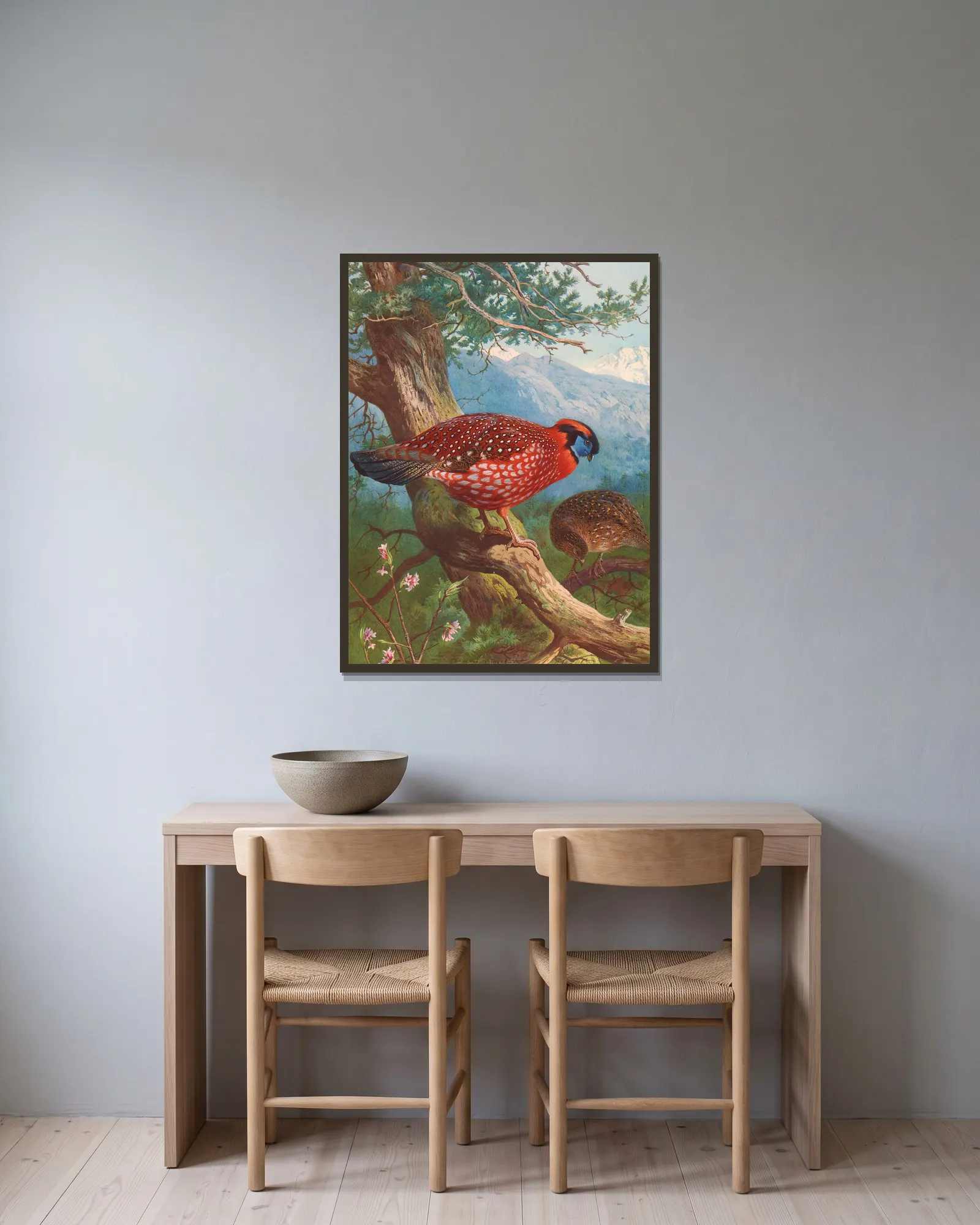 Temminck’s Tragopan av Archibald Thorburn inramad på en vägg