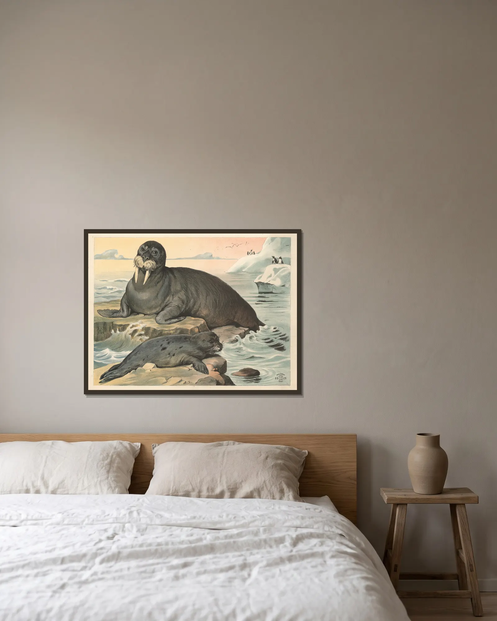 Hvalros, sæl av Oluf August Hermansen inramad på en vägg