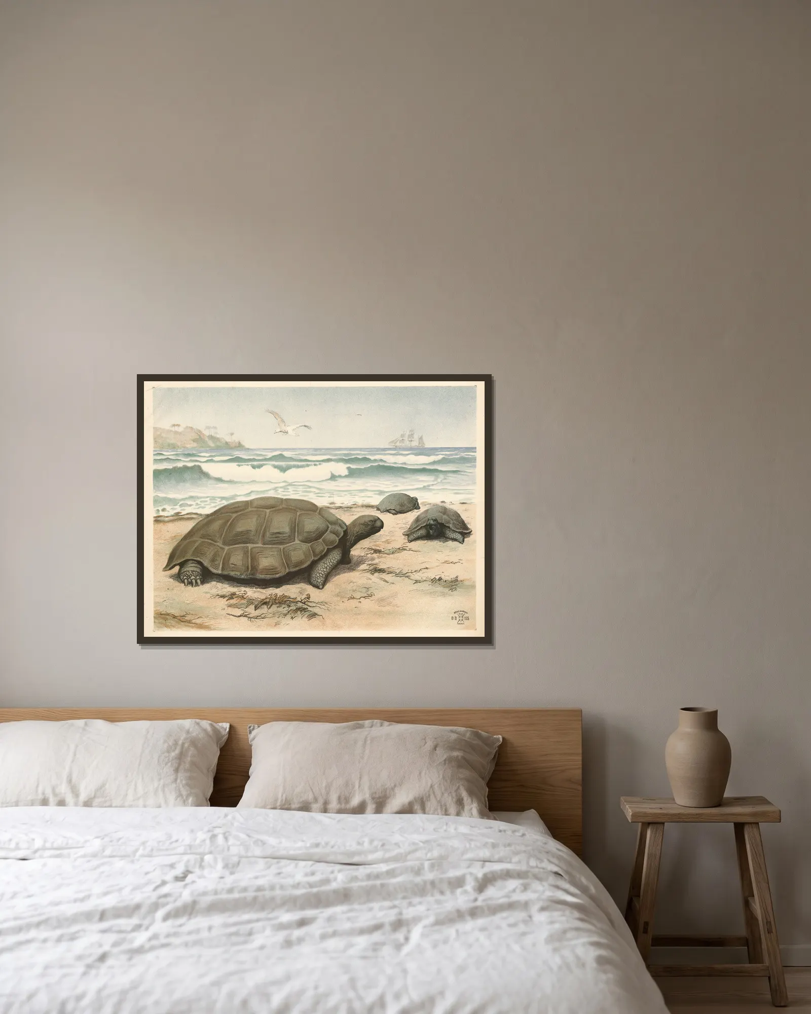 Skildpadde av Oluf August Hermansen inramad på en vägg