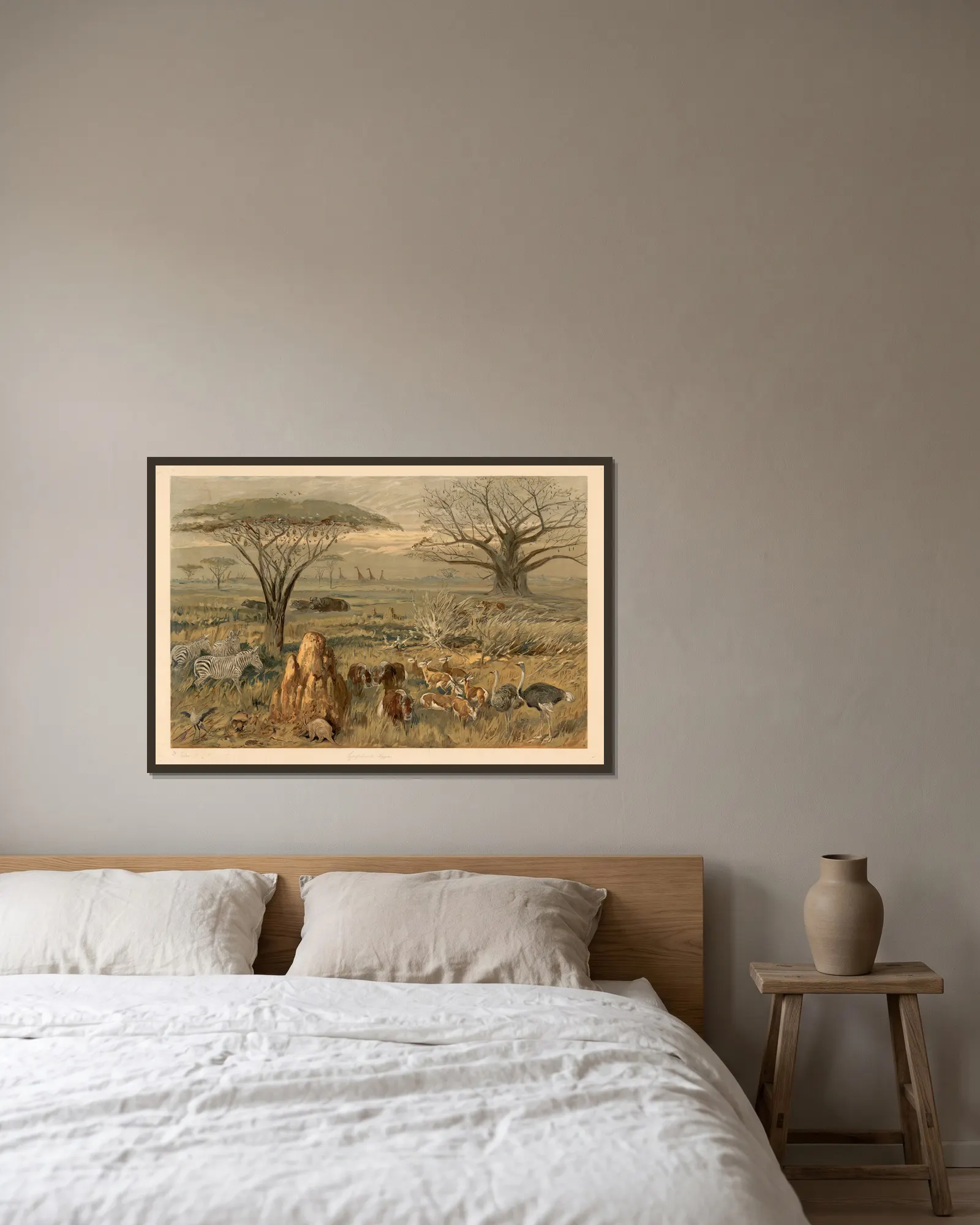 South African steppe av August Specht inramad på en vägg