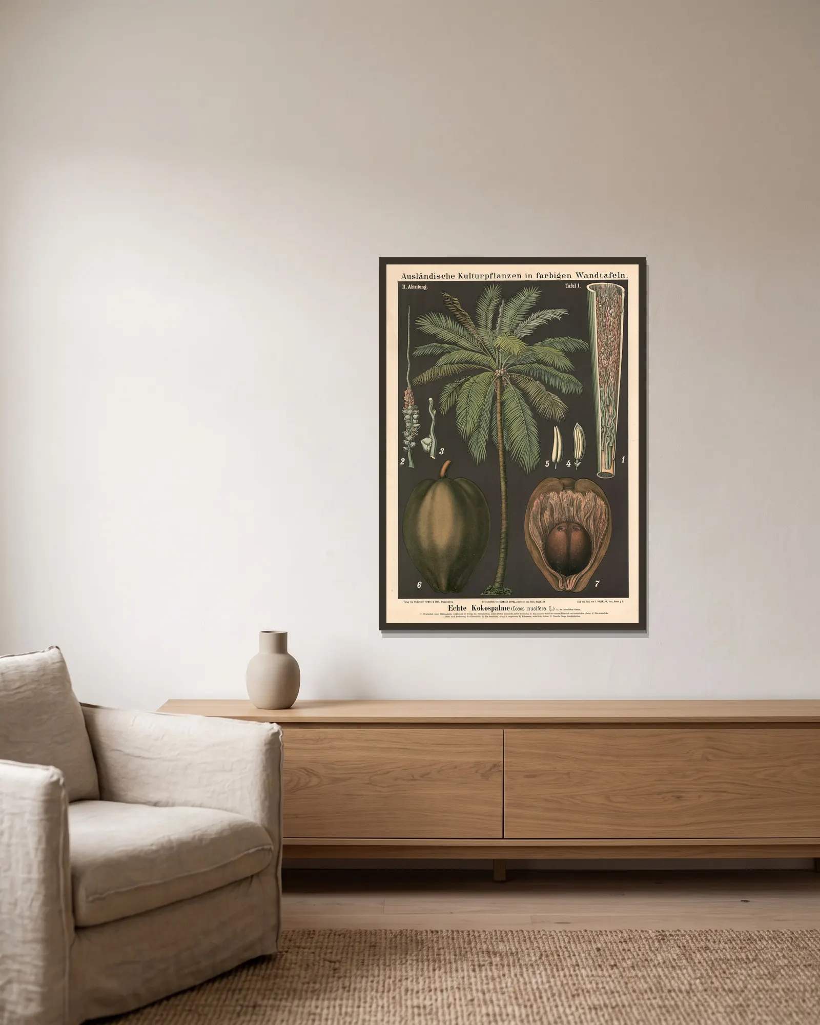 Echte Kokospalme (Cocos nucifera L.) av Carl Bollmann inramad på en vägg