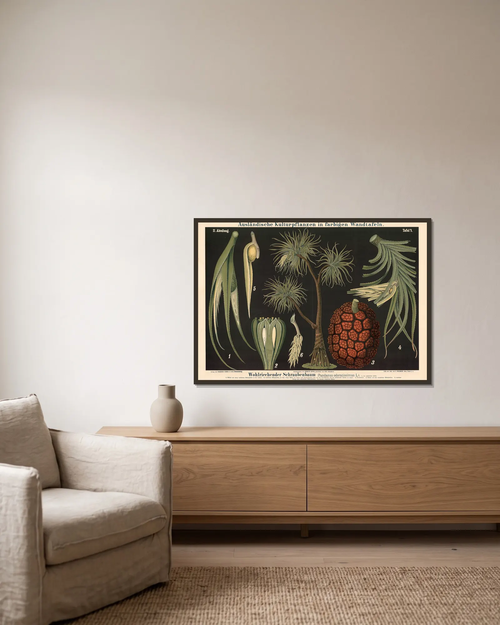 Wohlriechender Schraubenbaum (Pandanus odoratissimus L.) av Carl Bollmann inramad på en vägg