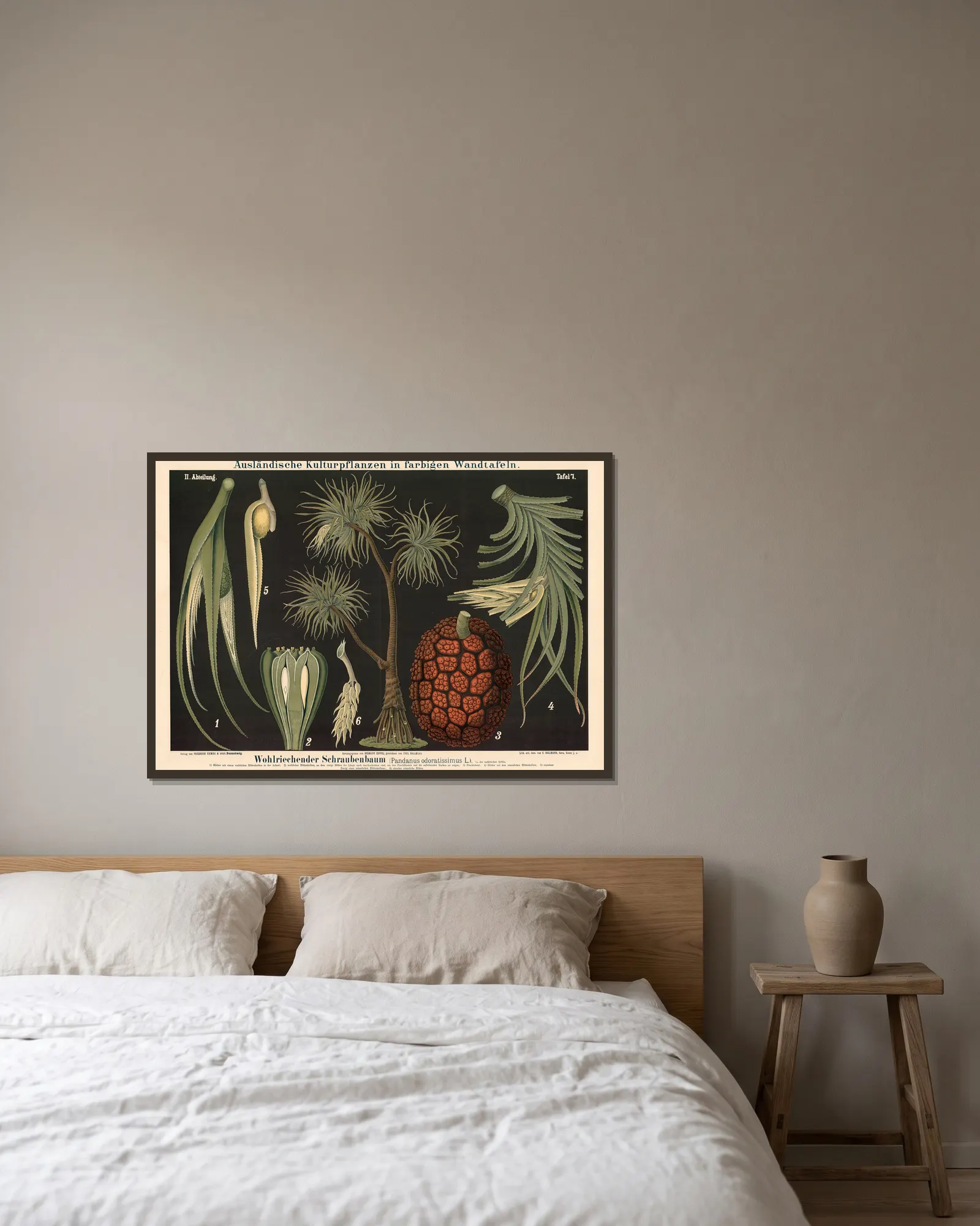 Wohlriechender Schraubenbaum (Pandanus odoratissimus L.) av Carl Bollmann inramad på en vägg