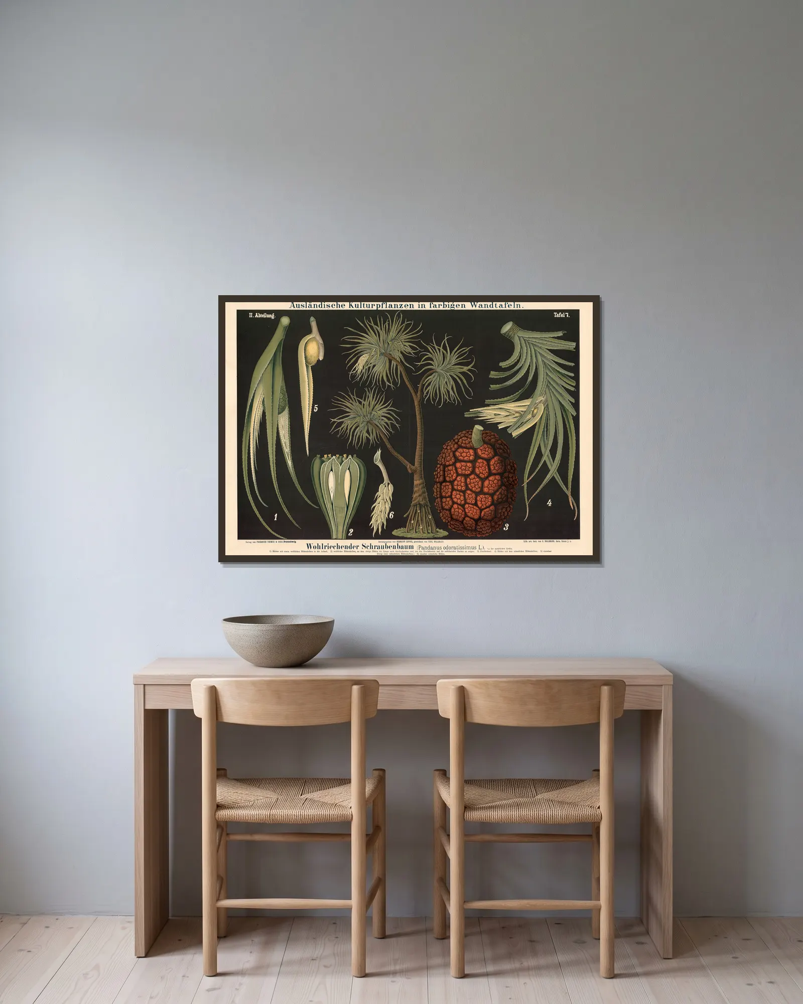 Wohlriechender Schraubenbaum (Pandanus odoratissimus L.) av Carl Bollmann inramad på en vägg