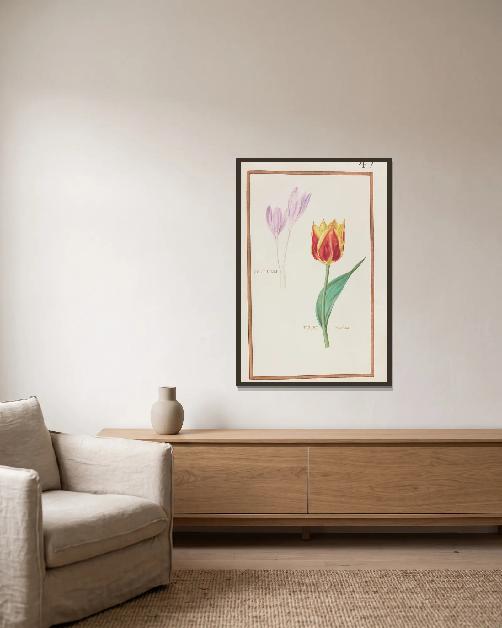Colchicum ; tulipe duchesse av Daniel Rabel inramad på en vägg