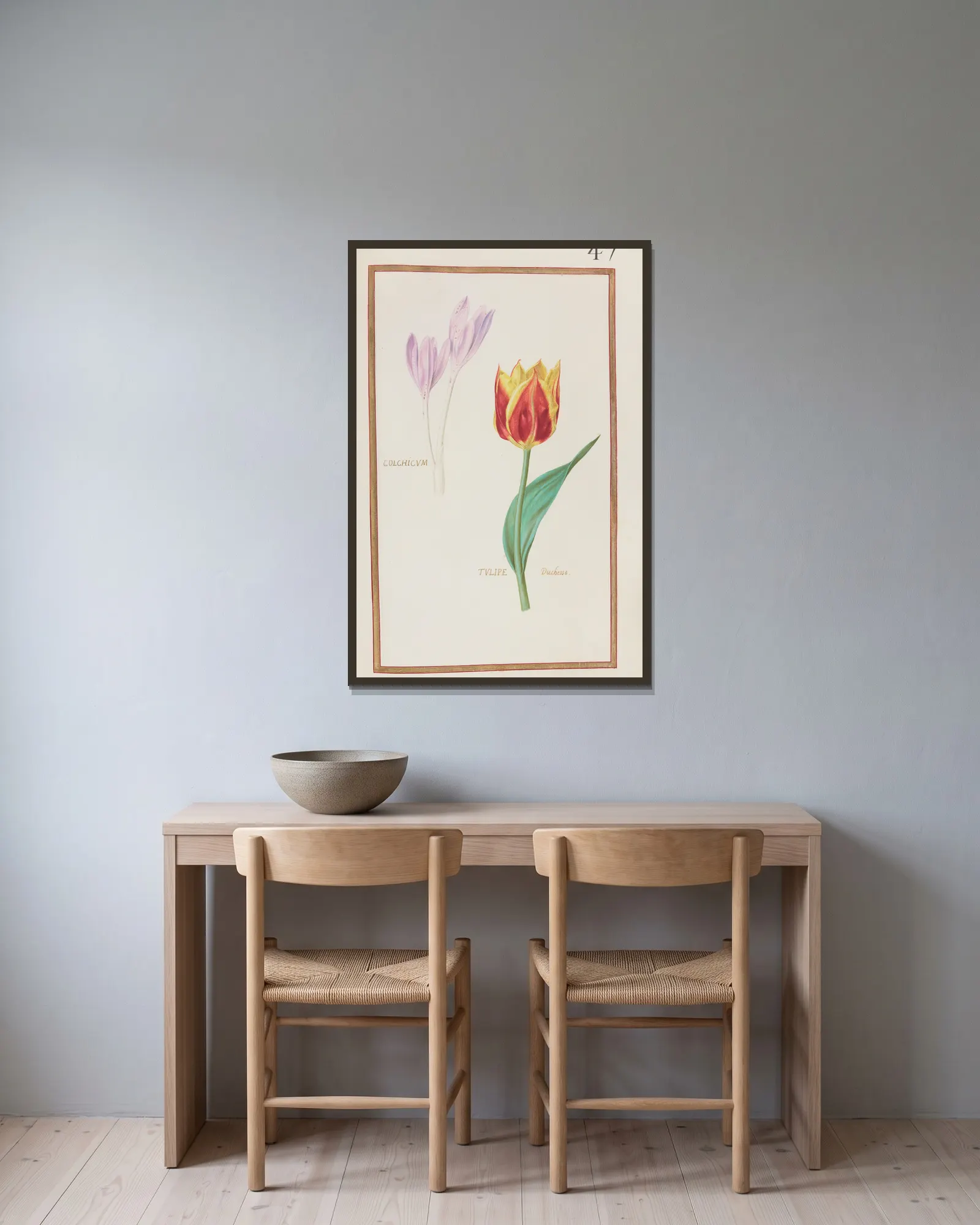 Colchicum ; tulipe duchesse av Daniel Rabel inramad på en vägg