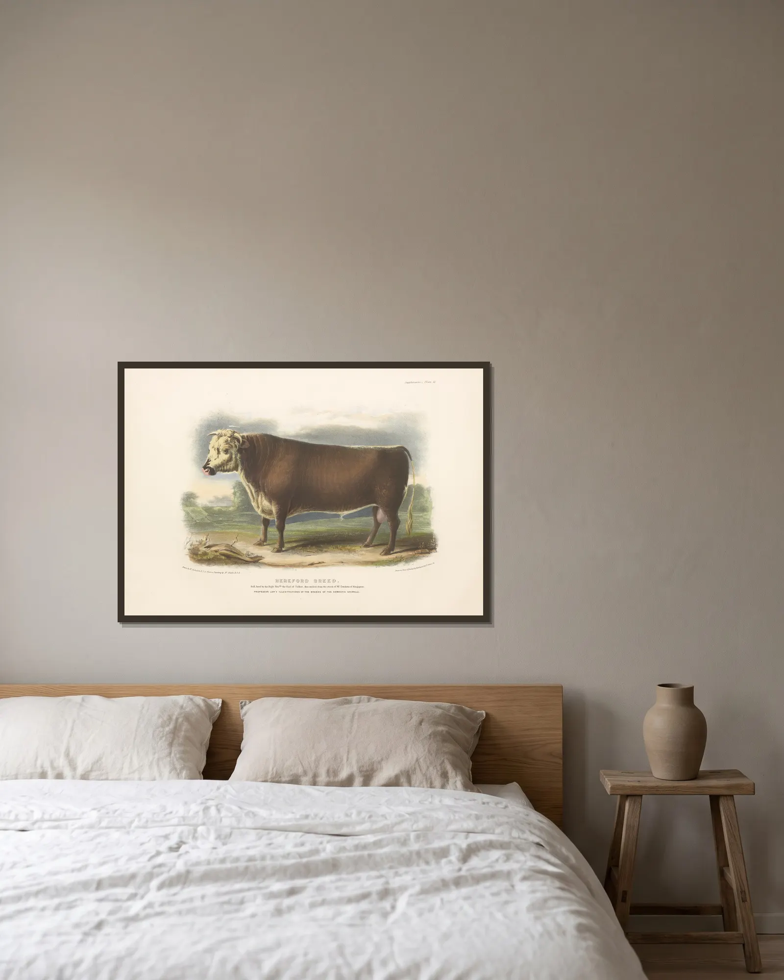 The Hereford Breed av David Low inramad på en vägg
