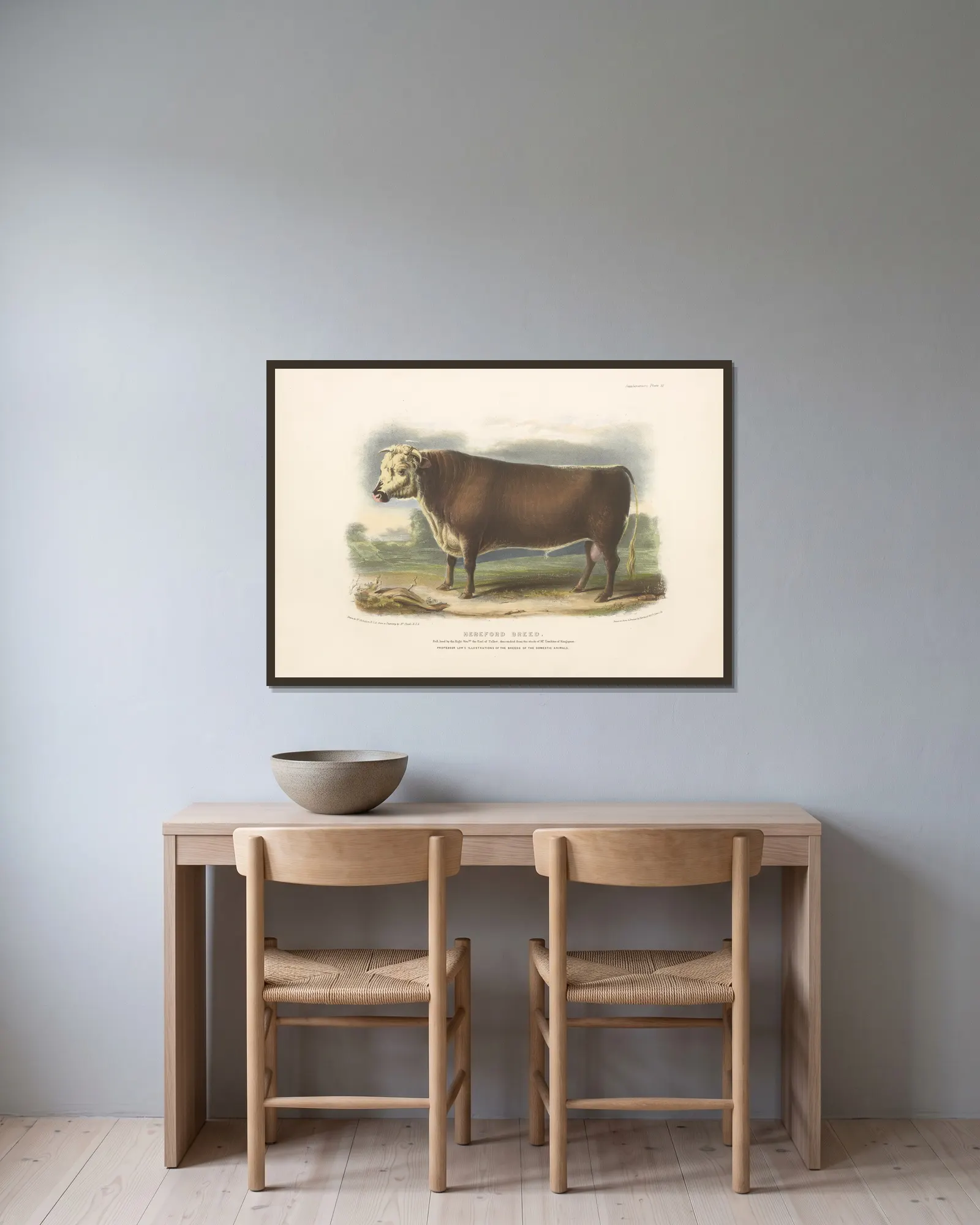 The Hereford Breed av David Low inramad på en vägg