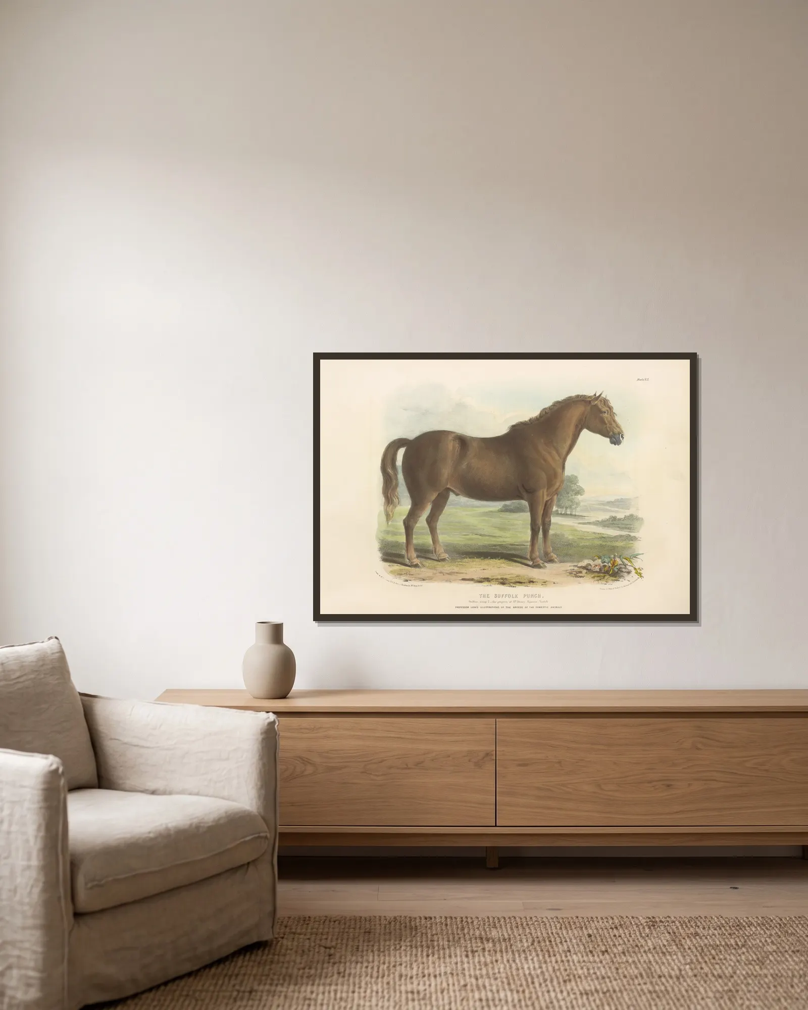 The Suffolk Punch av David Low inramad på en vägg