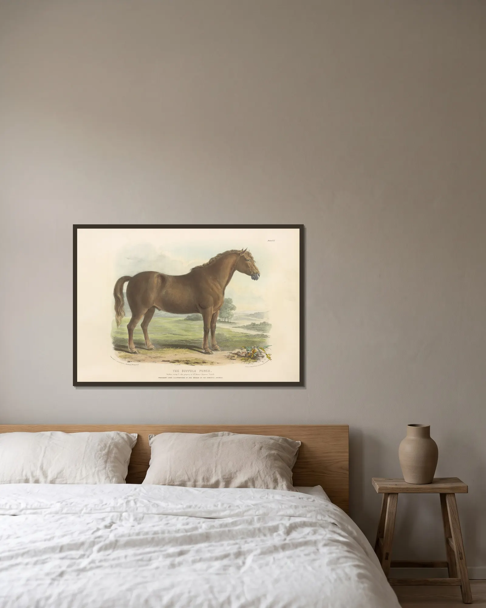 The Suffolk Punch av David Low inramad på en vägg