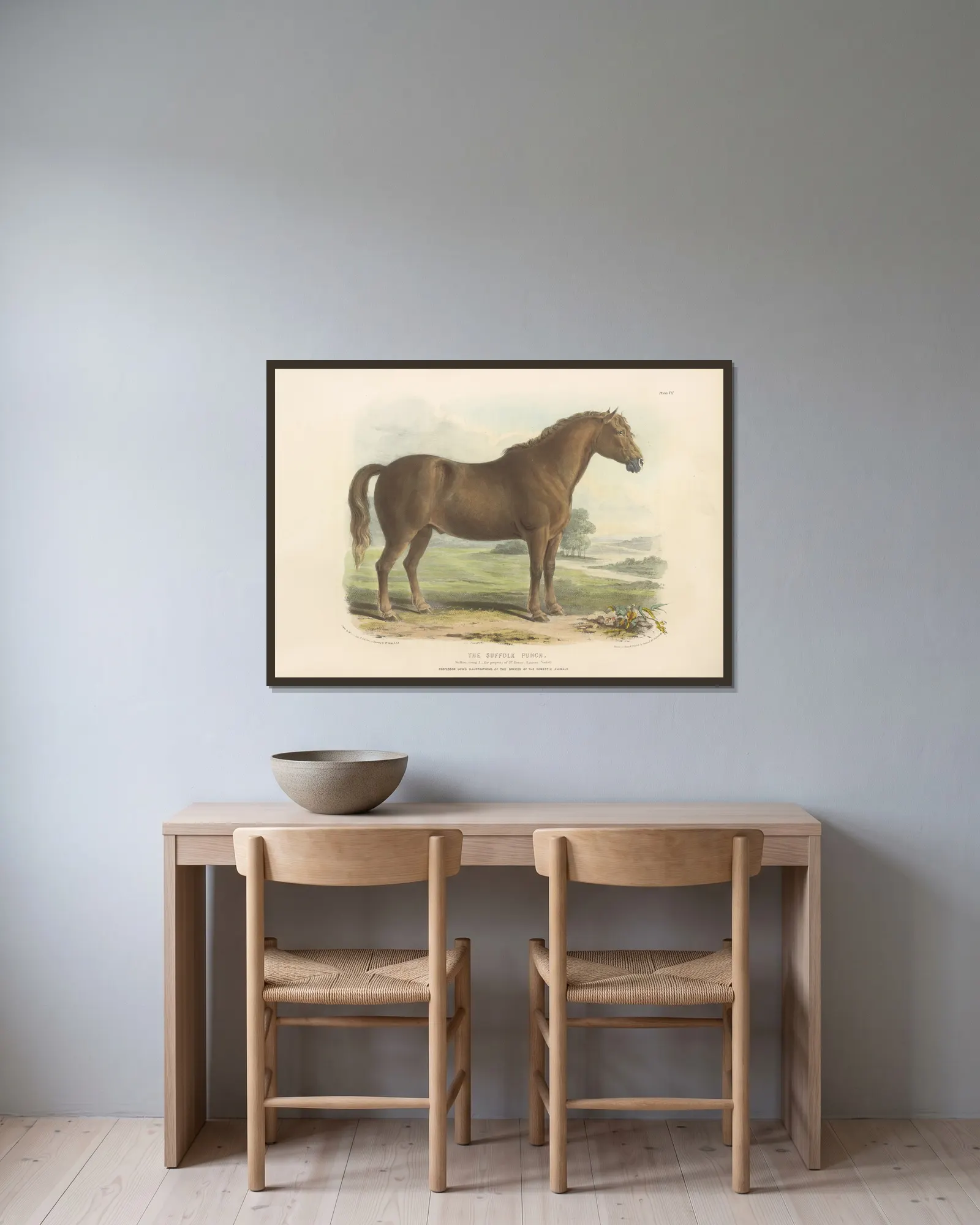 The Suffolk Punch av David Low inramad på en vägg